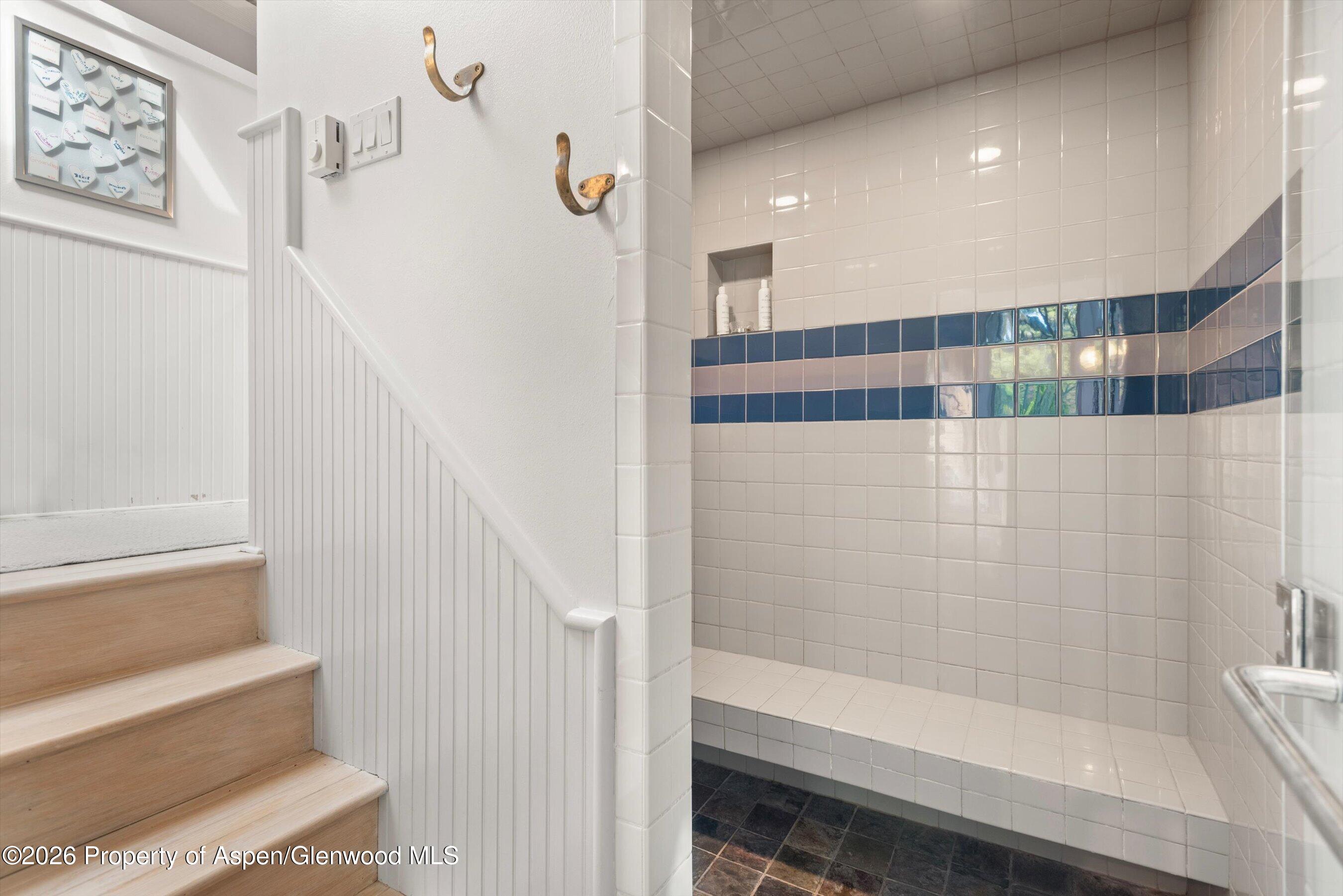 278 Oak Ridge Drive Aspen CO 81611