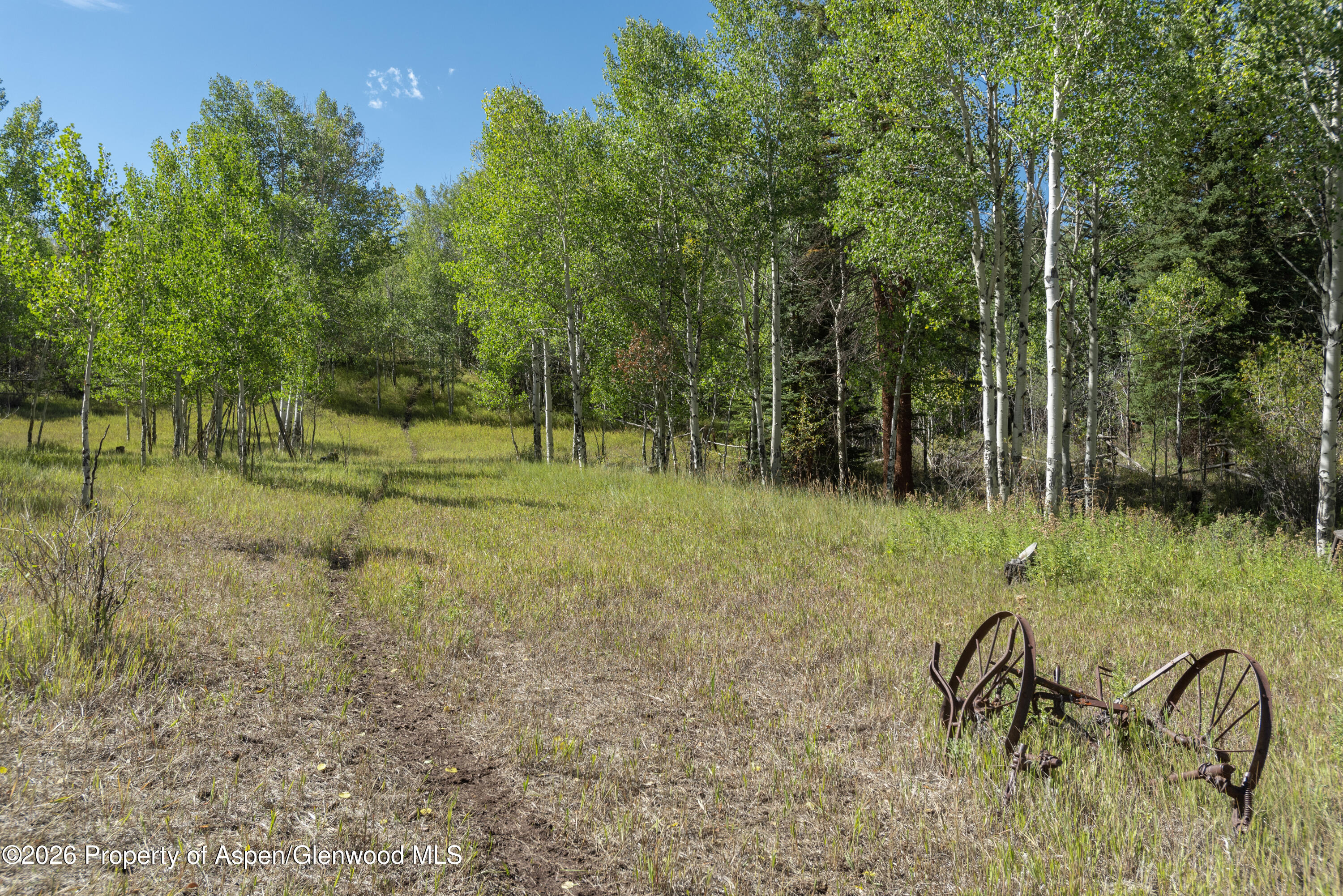 278 Oak Ridge Drive Aspen CO 81611