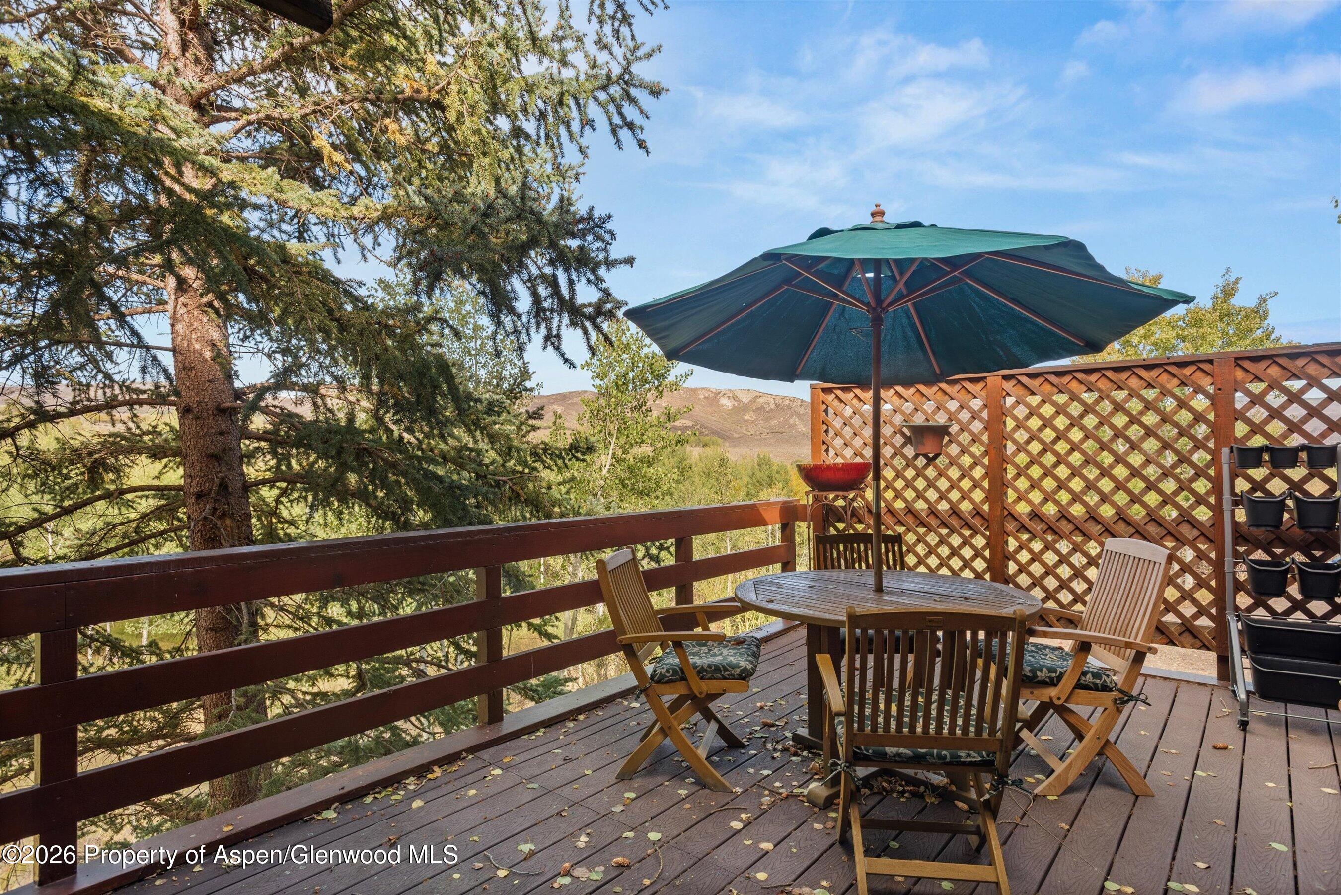 278 Oak Ridge Drive Aspen CO 81611