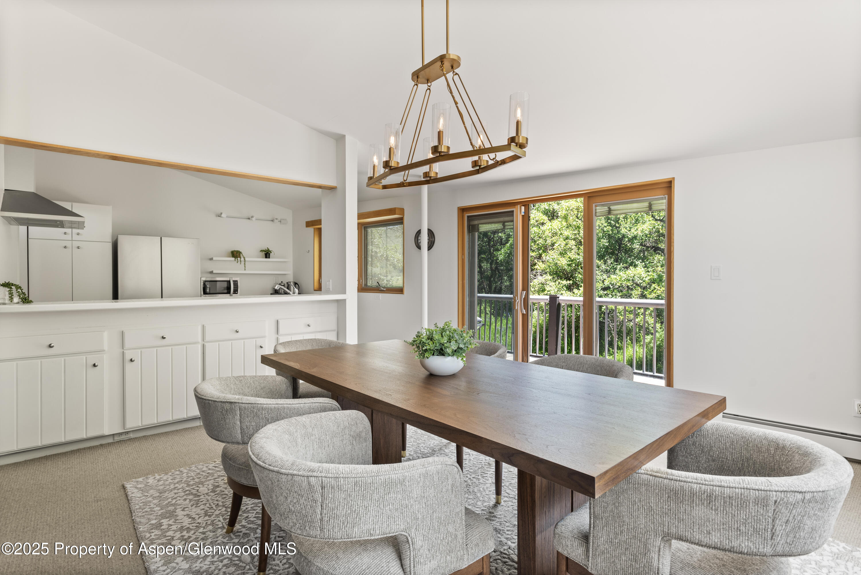 623 Johnson Drive Aspen CO 81611