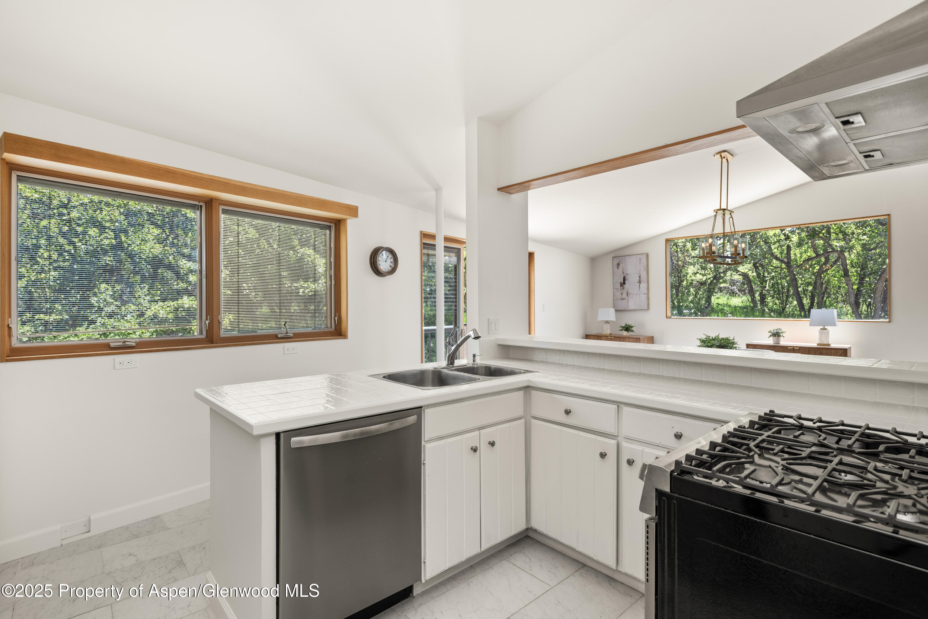 623 Johnson Drive Aspen CO 81611