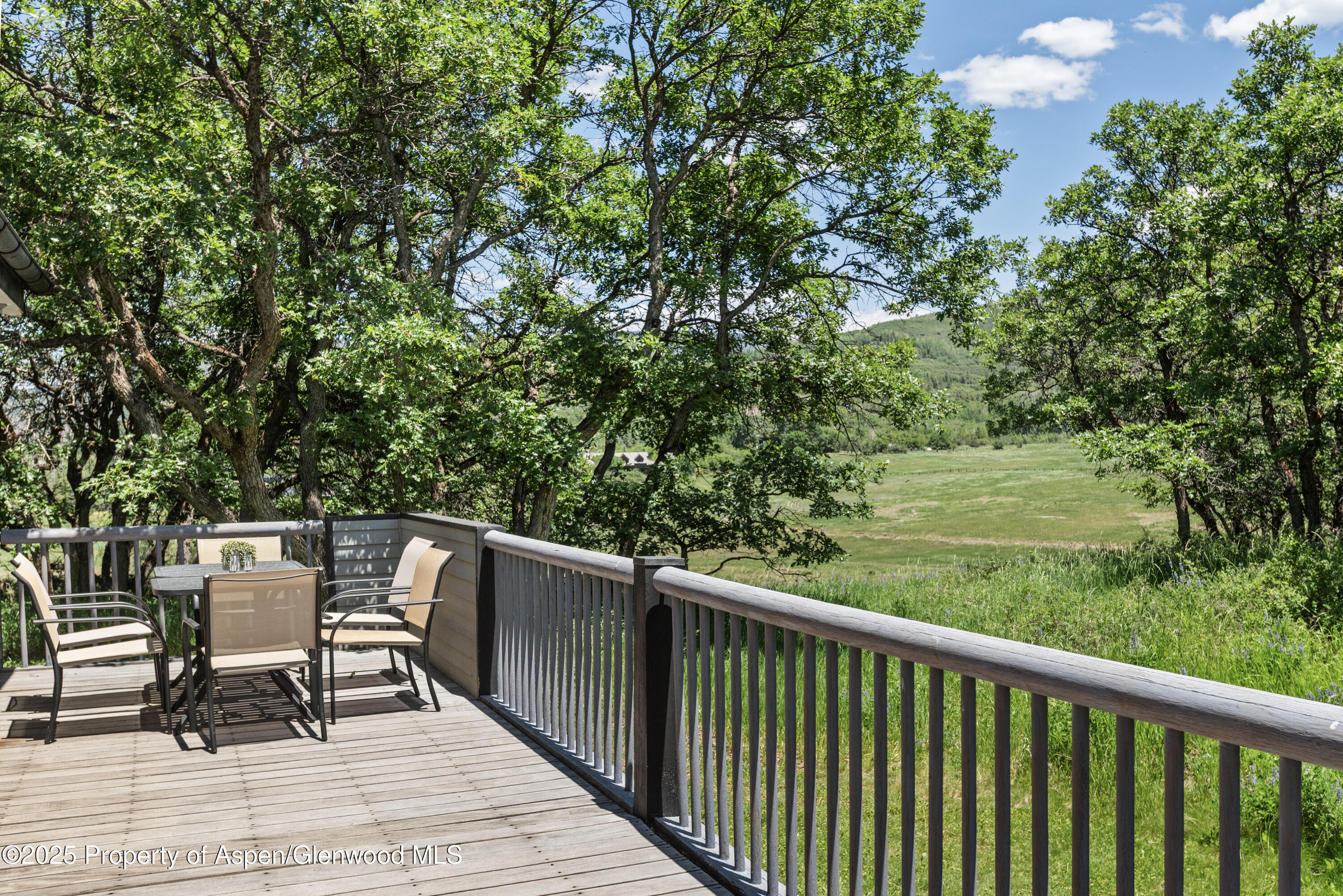 623 Johnson Drive Aspen CO 81611