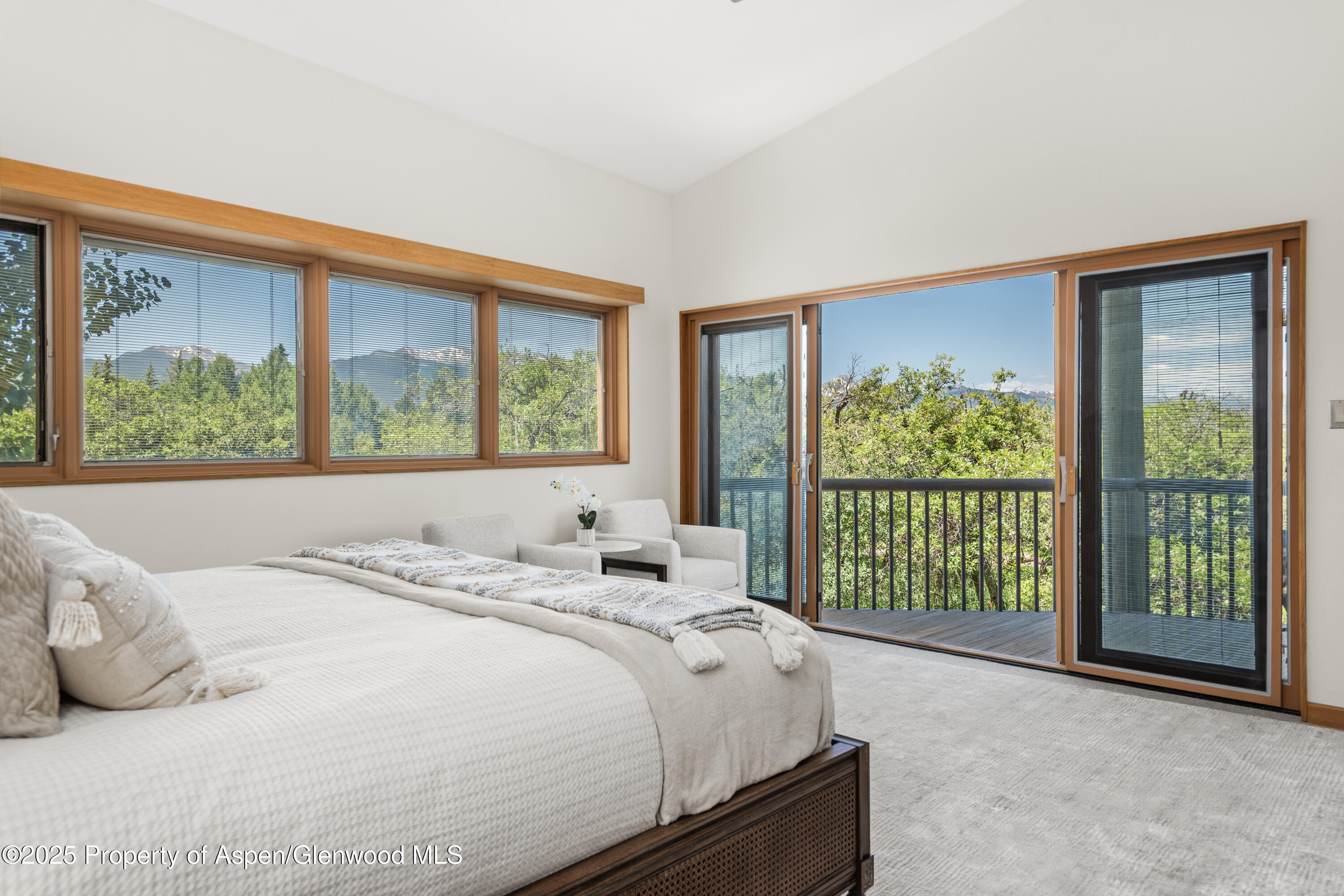 623 Johnson Drive Aspen CO 81611