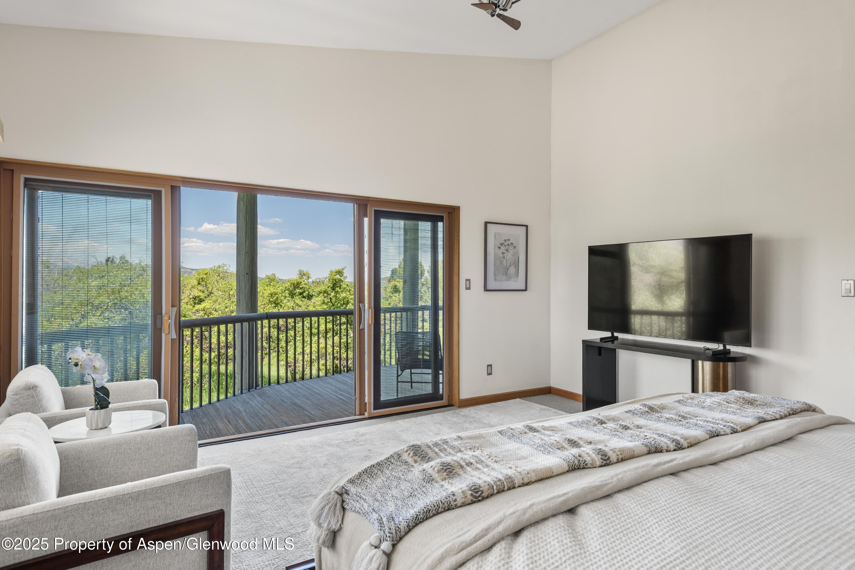 623 Johnson Drive Aspen CO 81611