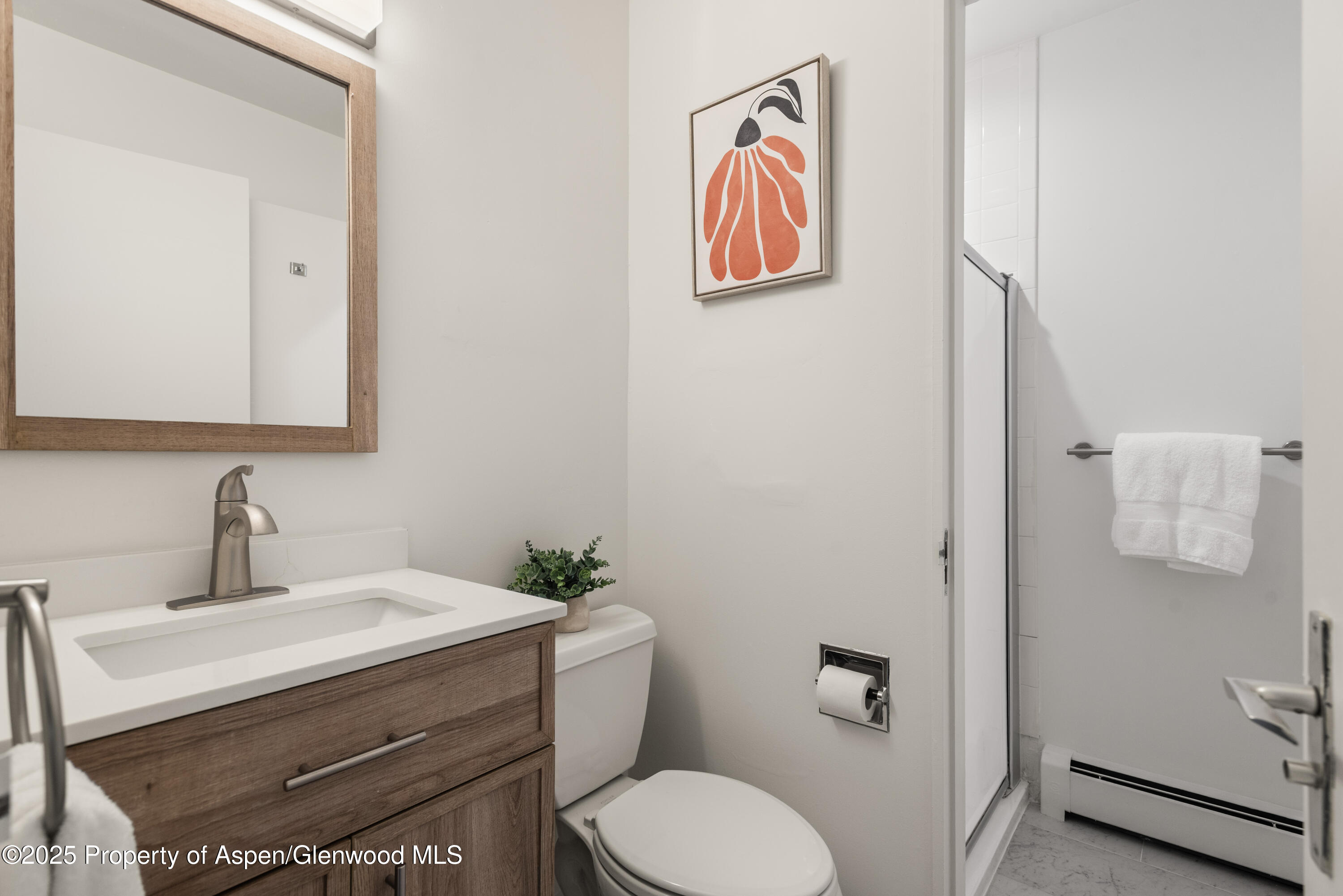 623 Johnson Drive Aspen CO 81611