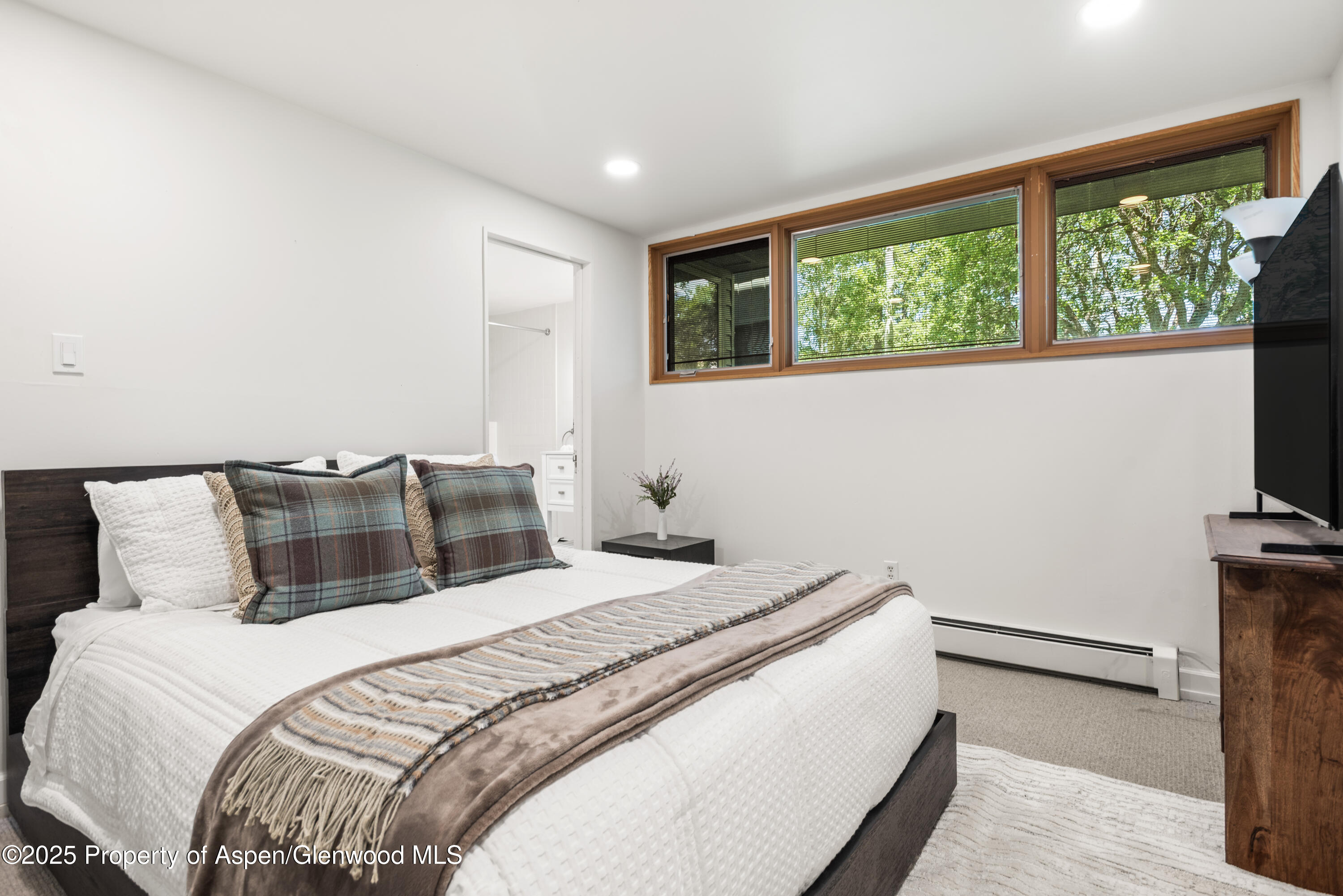 623 Johnson Drive Aspen CO 81611