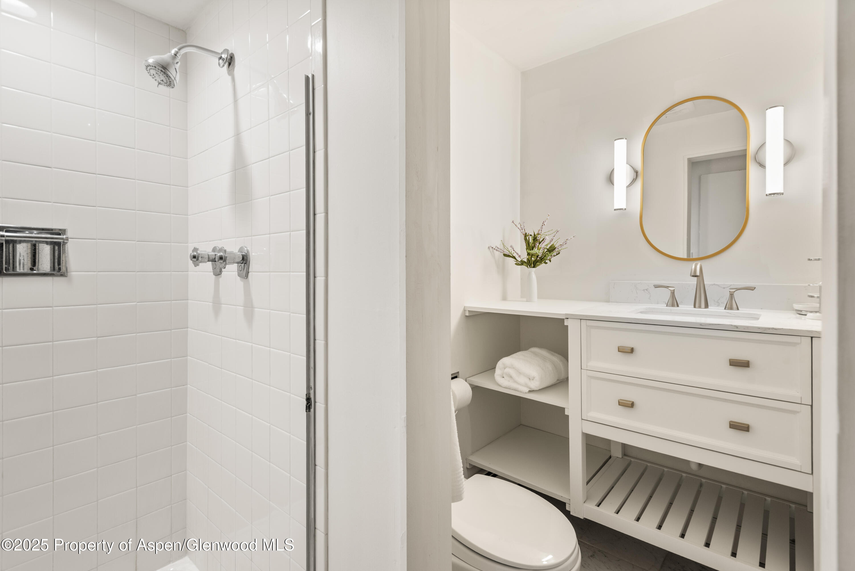 623 Johnson Drive Aspen CO 81611