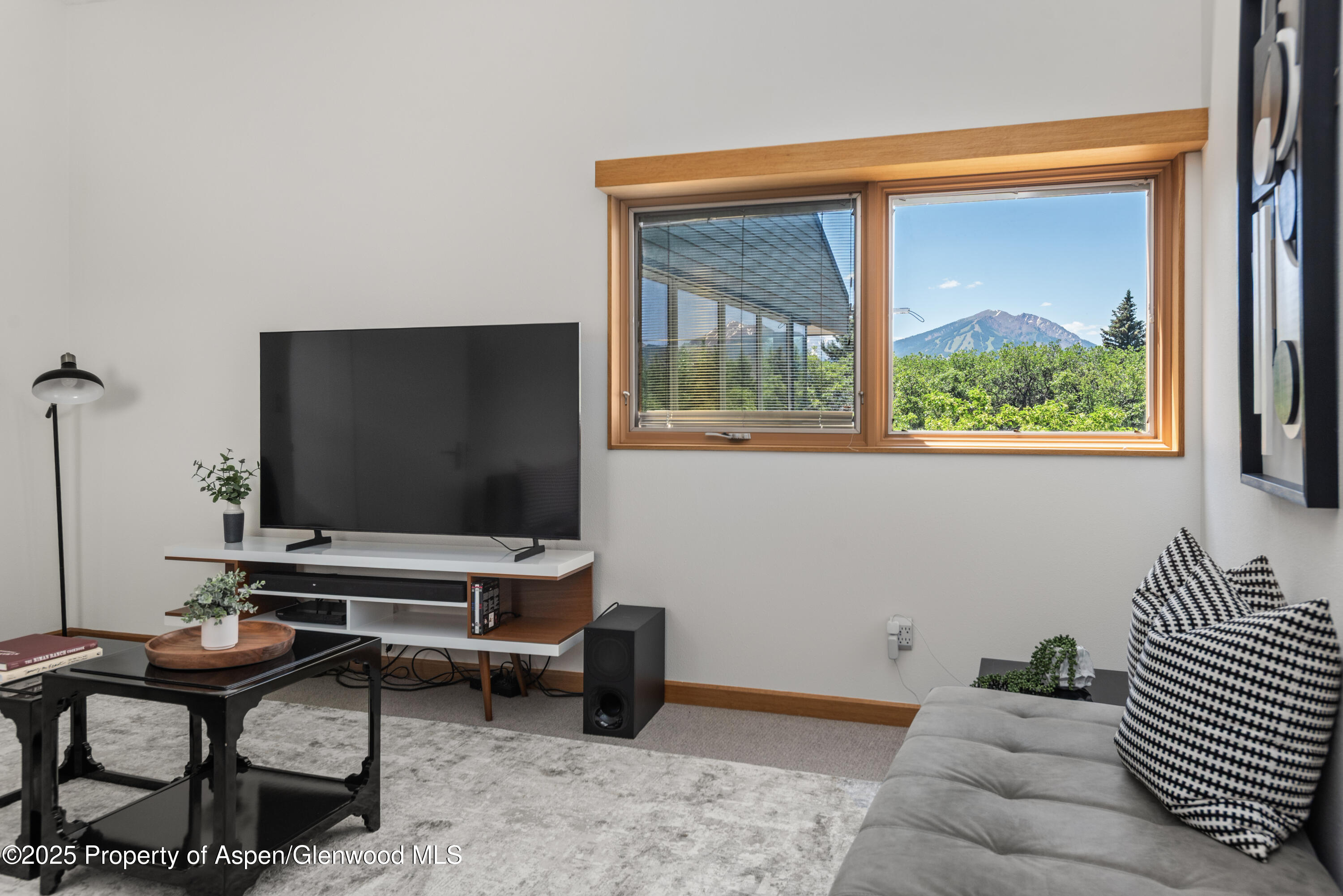 623 Johnson Drive Aspen CO 81611