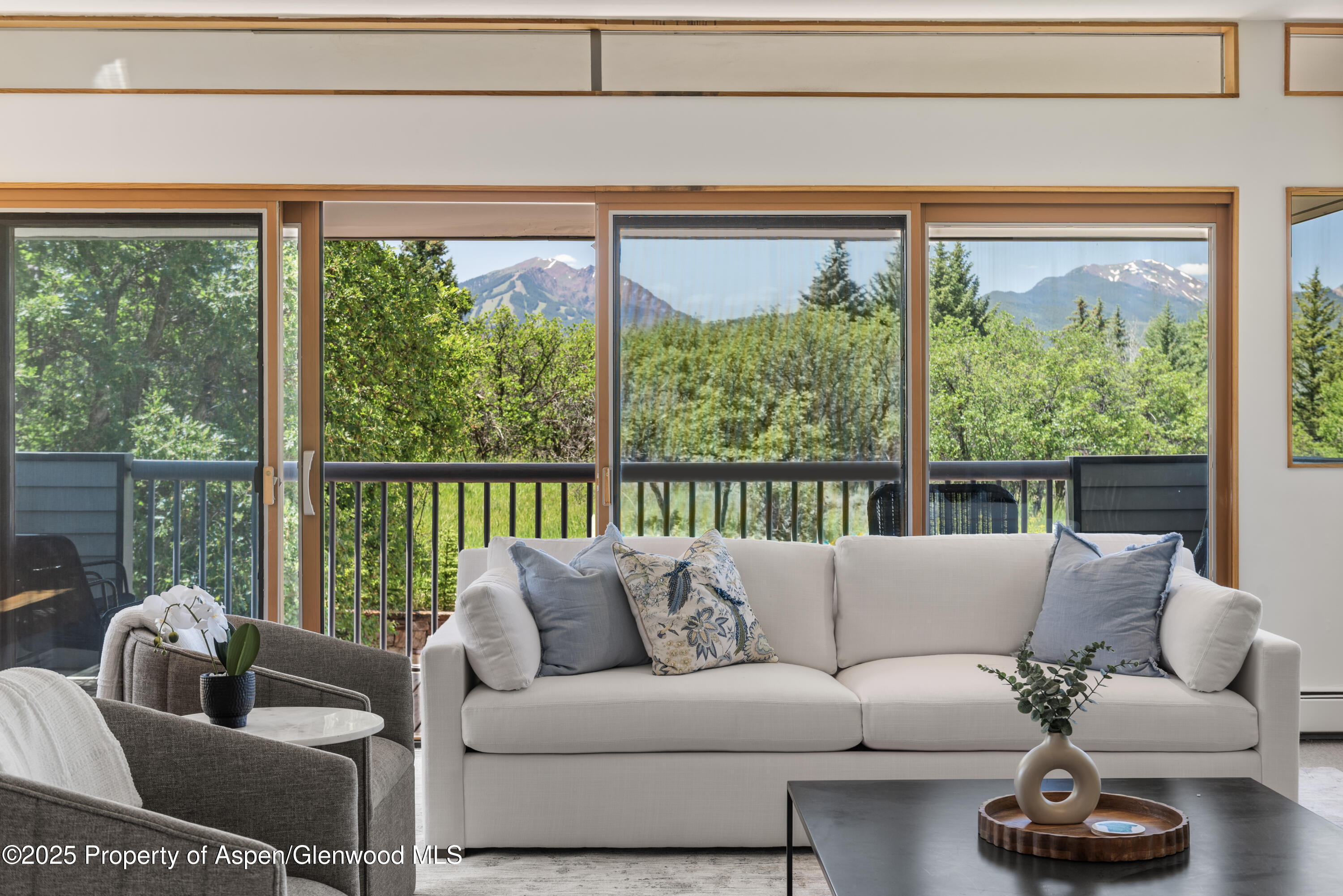 623 Johnson Drive Aspen CO 81611