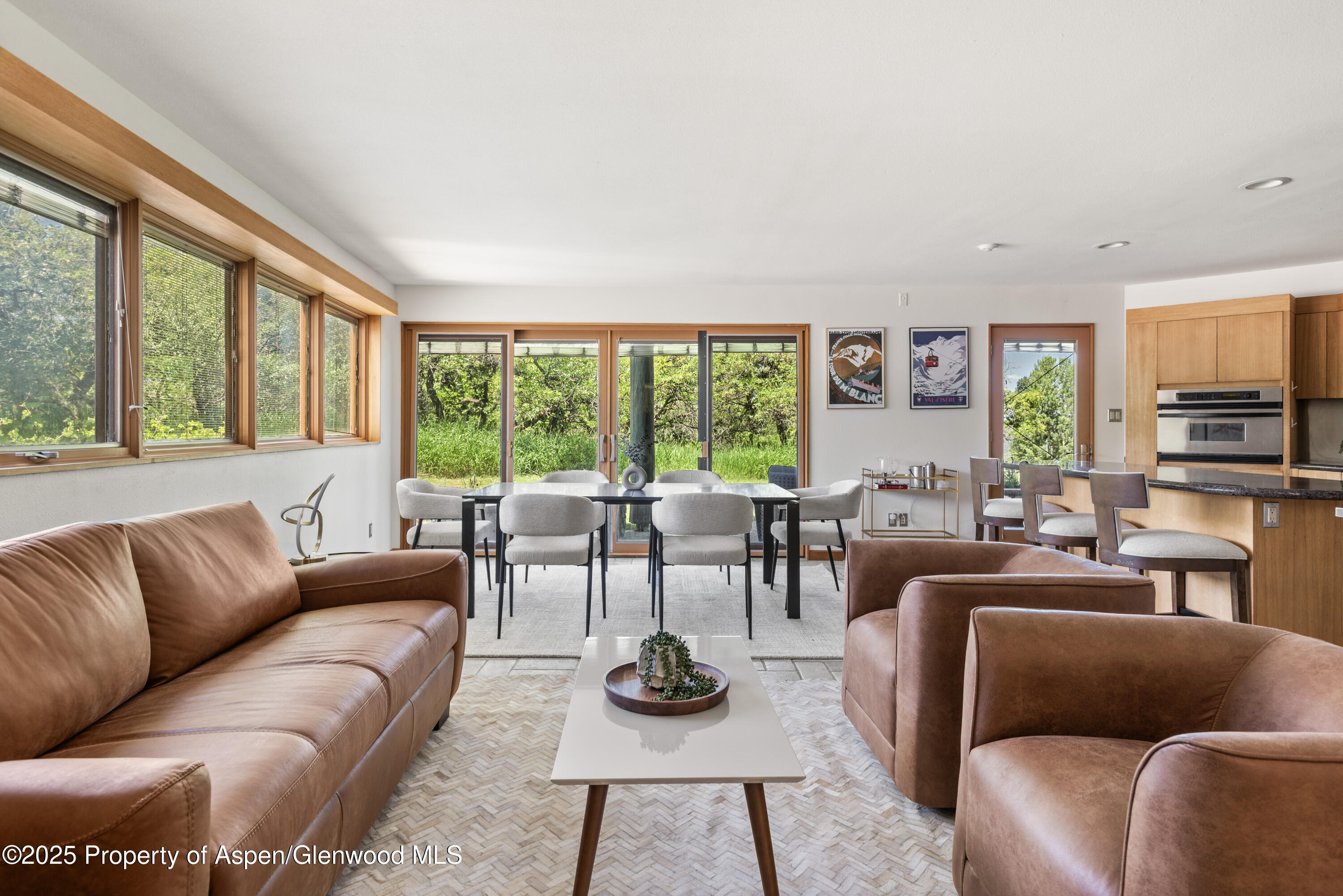 623 Johnson Drive Aspen CO 81611