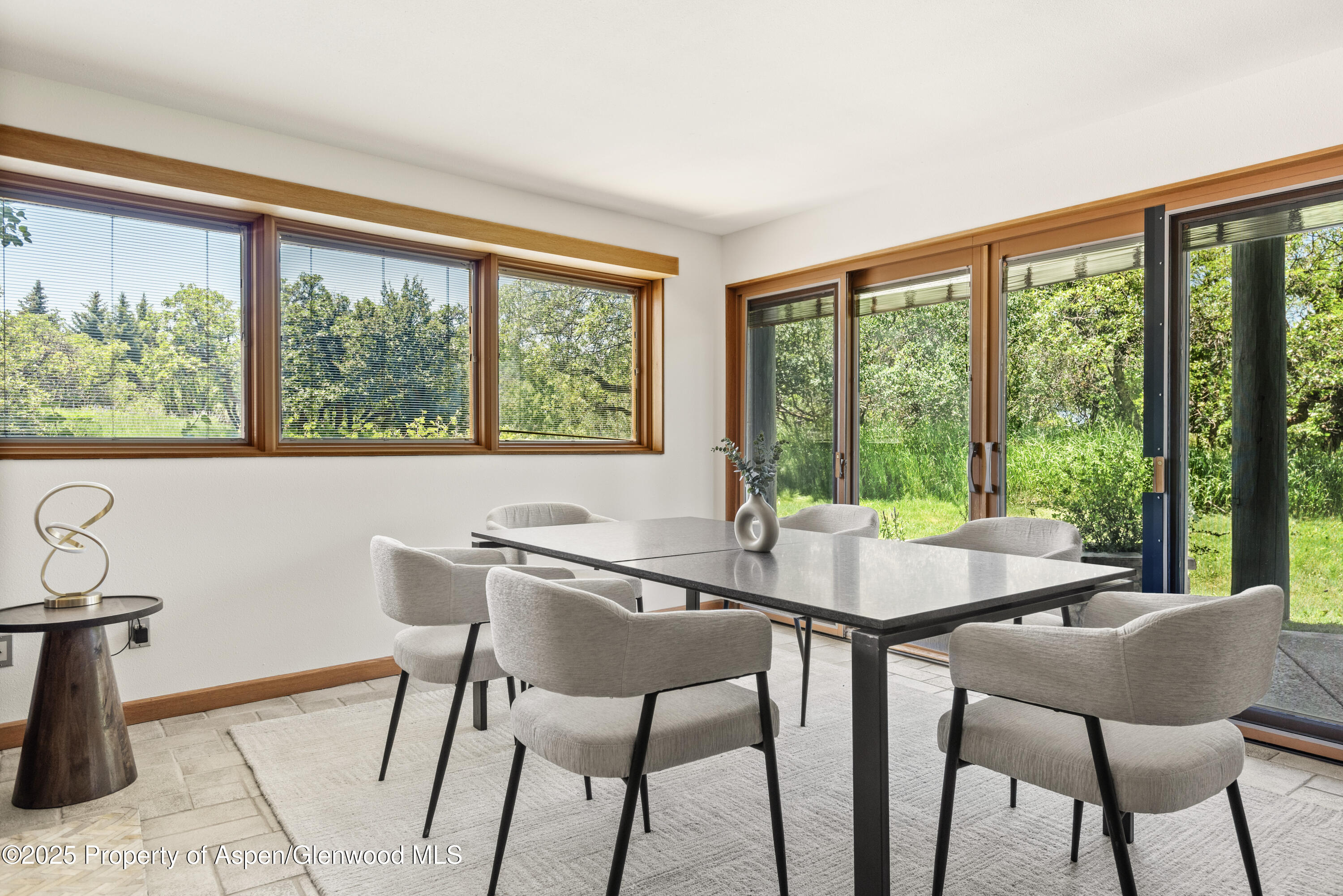 623 Johnson Drive Aspen CO 81611