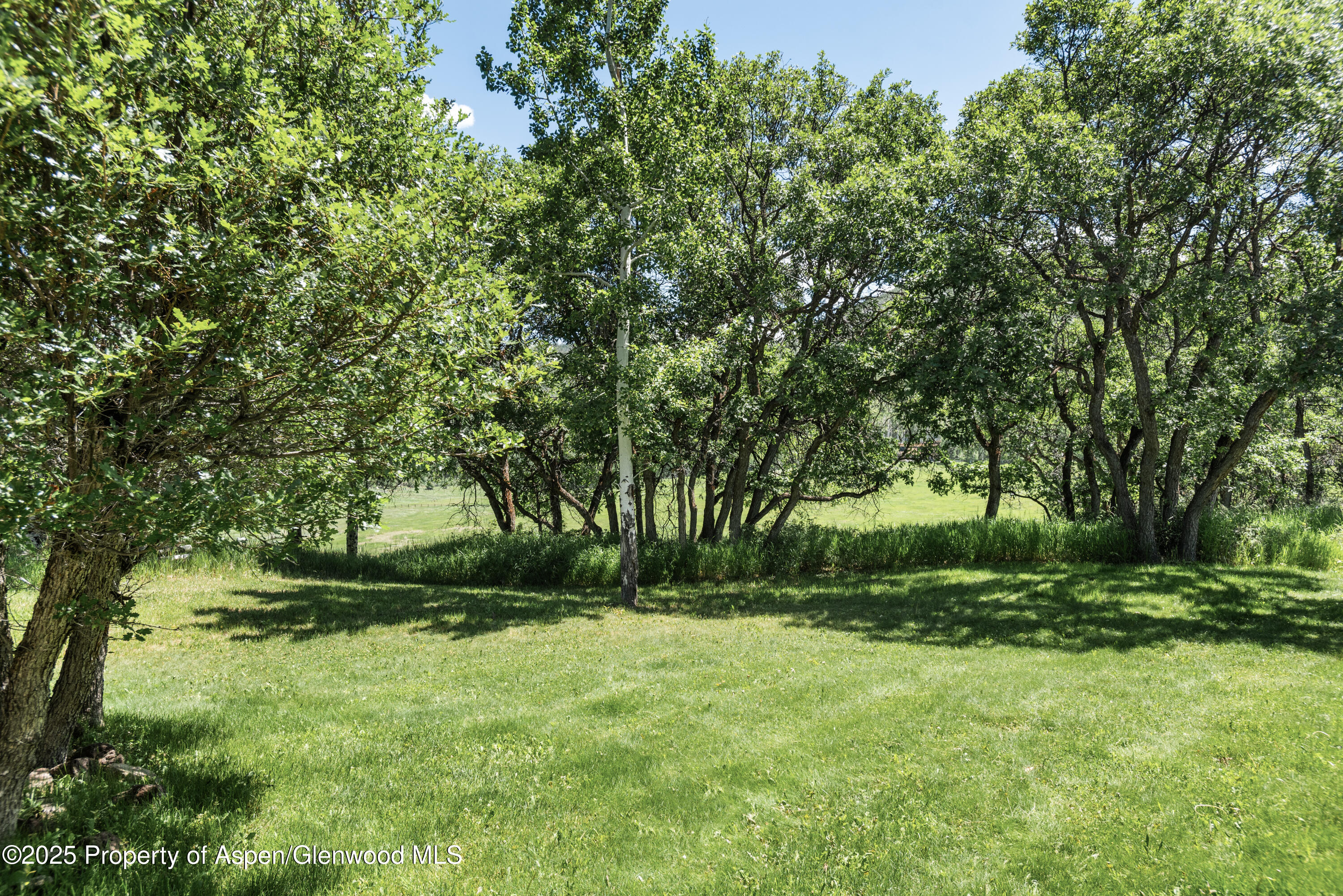 623 Johnson Drive Aspen CO 81611