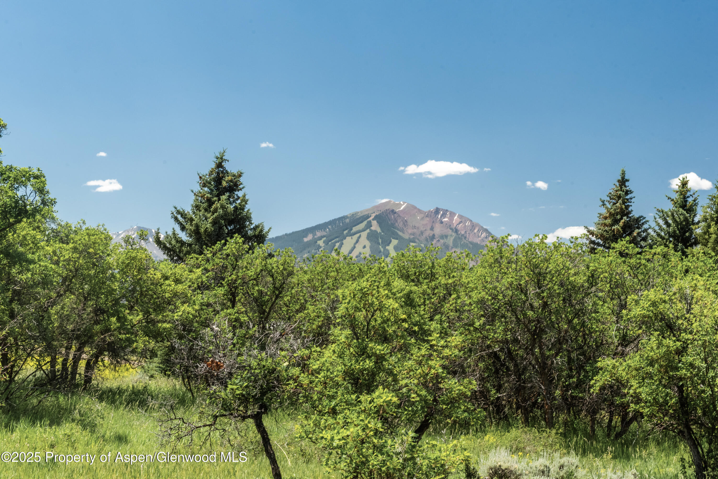 623 Johnson Drive Aspen CO 81611