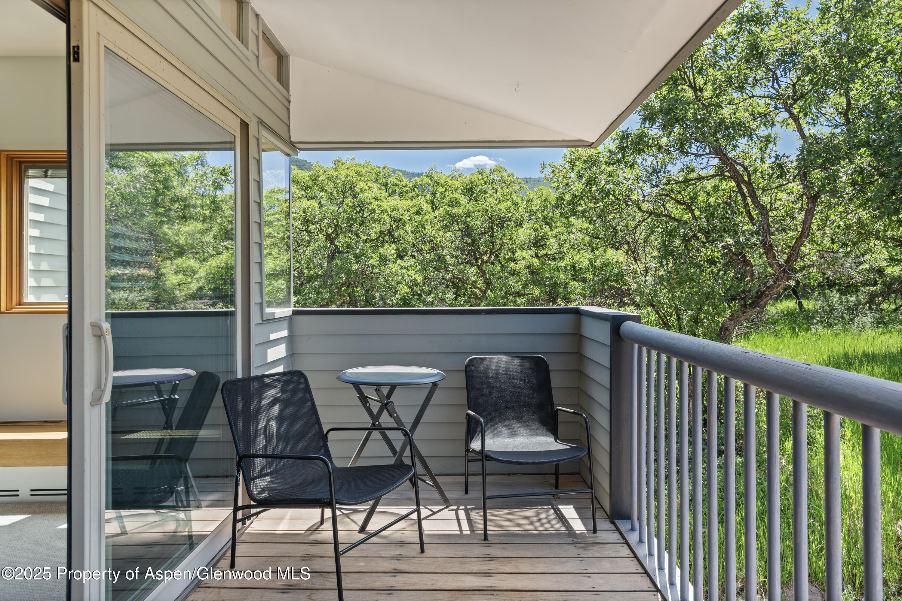 623 Johnson Drive Aspen CO 81611