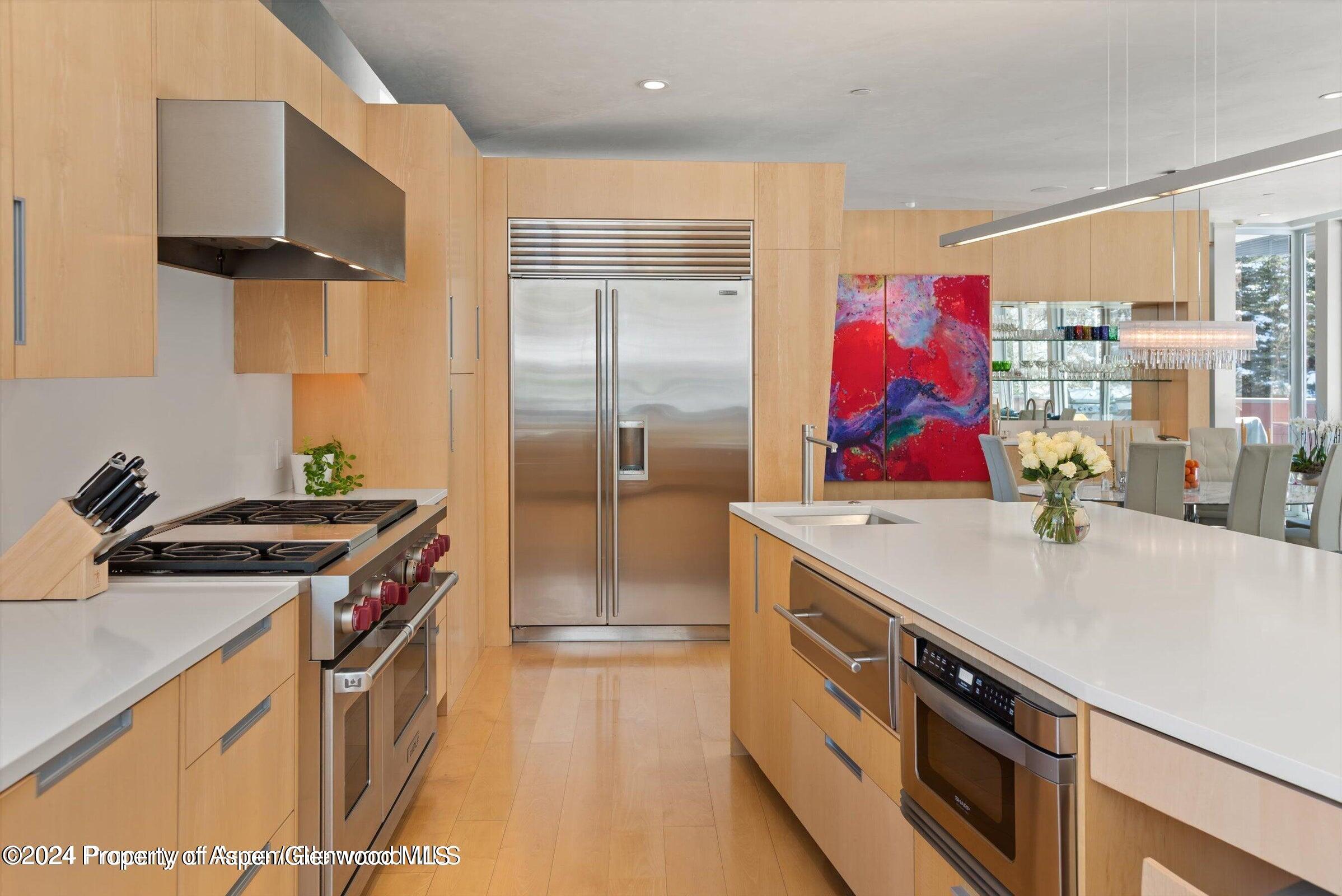 1015 Cemetery Lane Aspen CO 81611