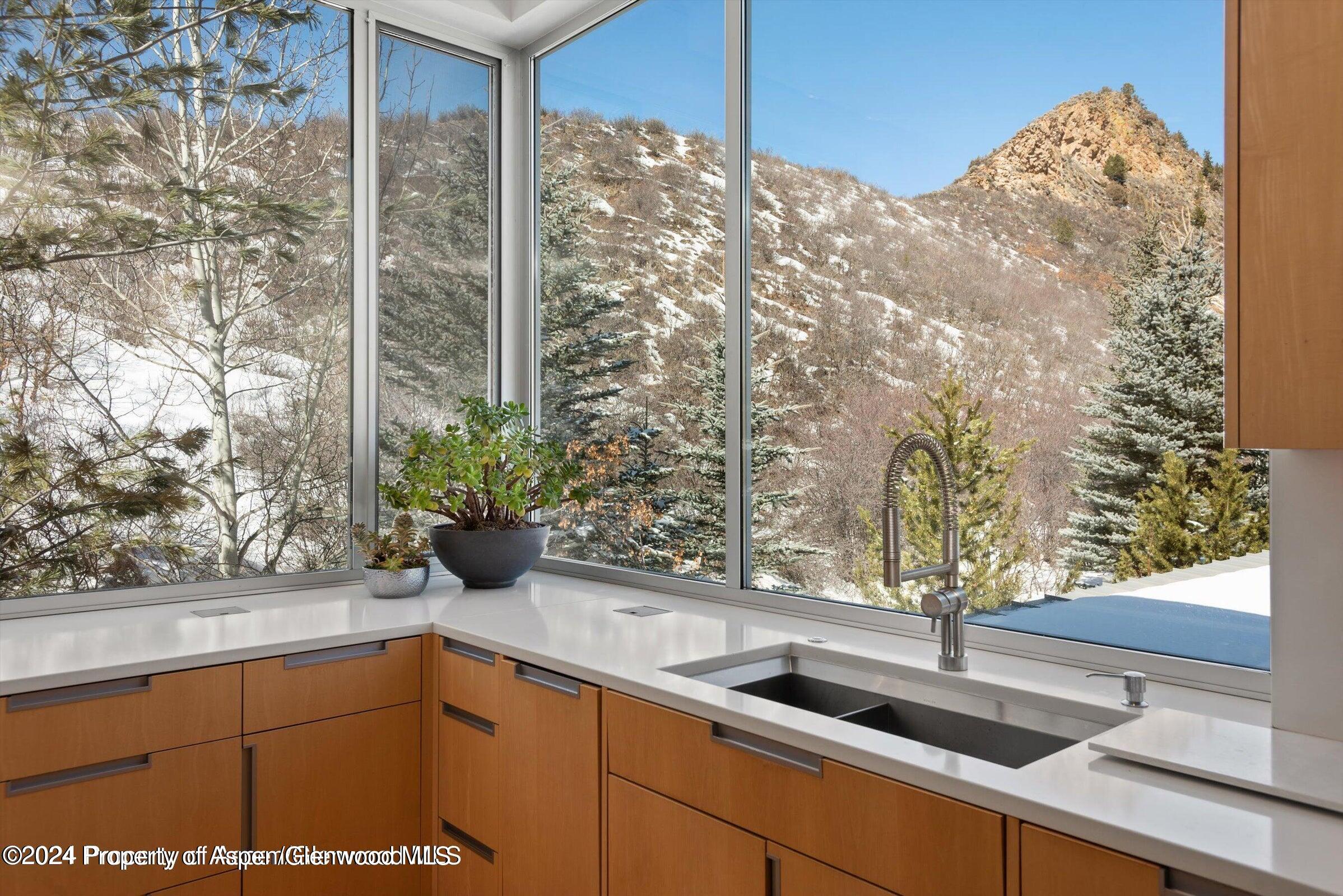 1015 Cemetery Lane Aspen CO 81611