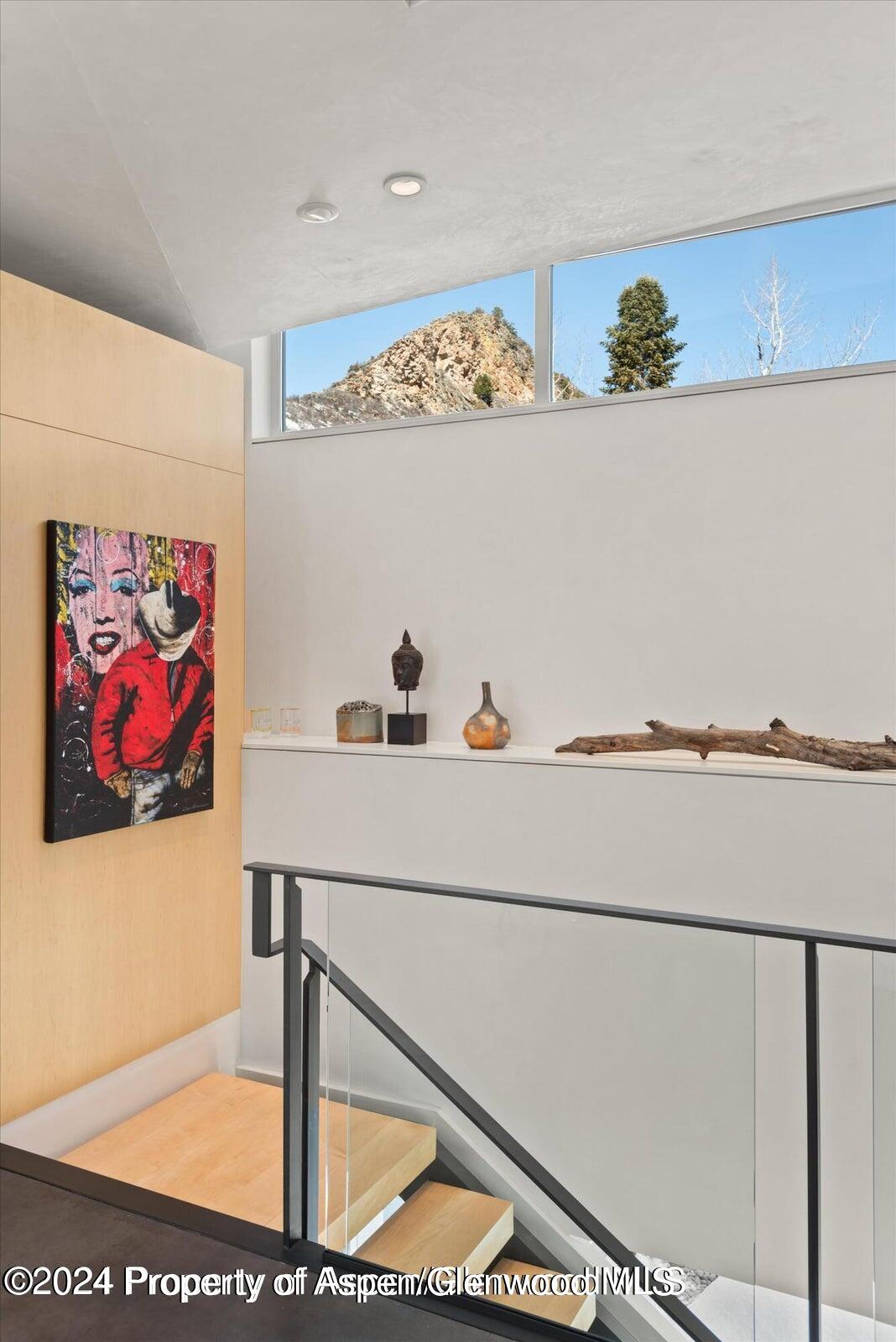 1015 Cemetery Lane Aspen CO 81611