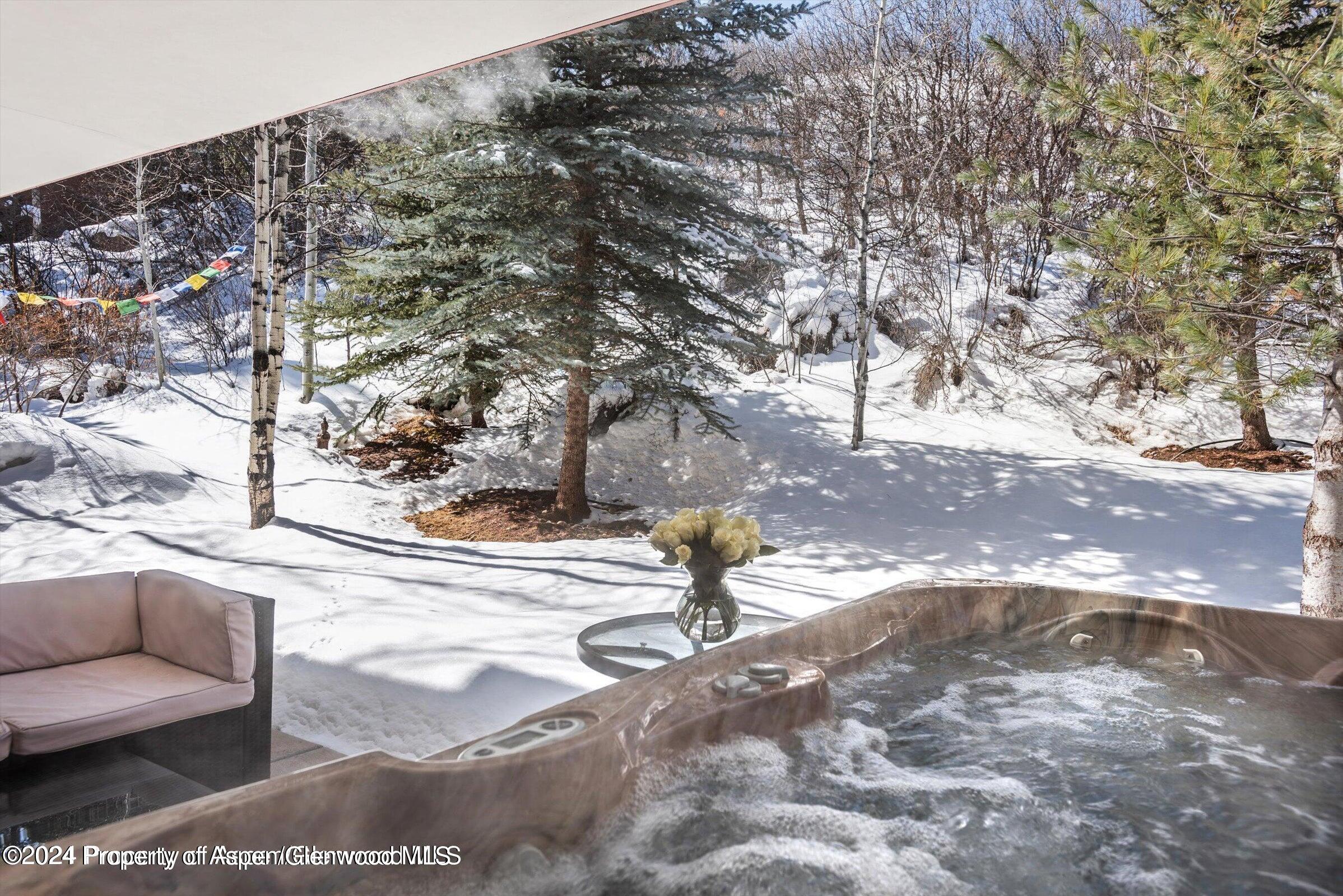 1015 Cemetery Lane Aspen CO 81611