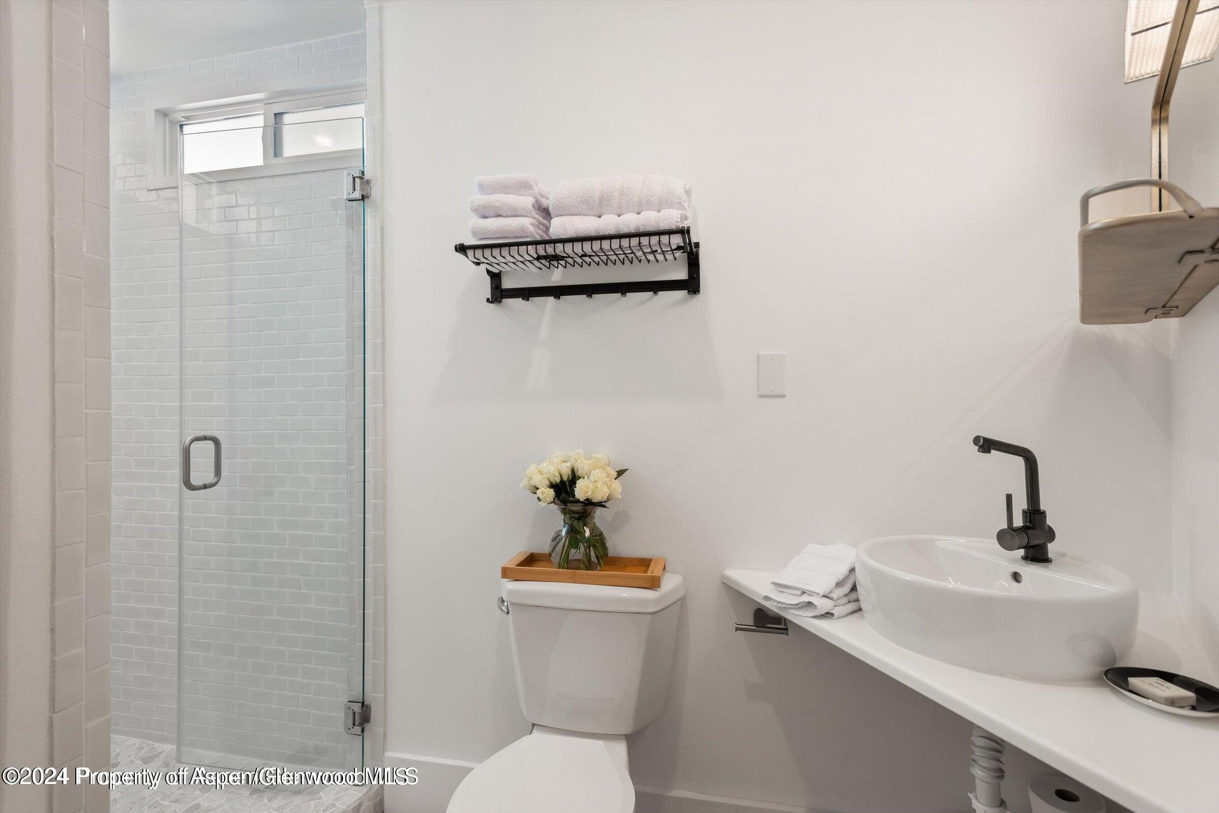 1015 Cemetery Lane Aspen CO 81611