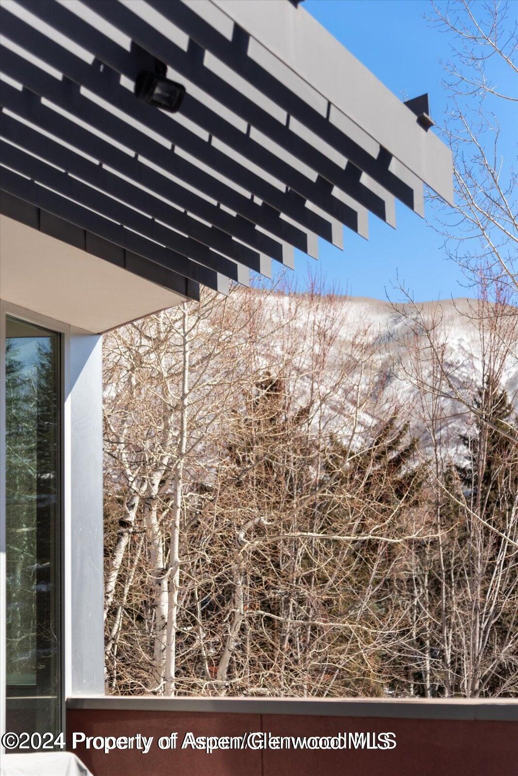 1015 Cemetery Lane Aspen CO 81611