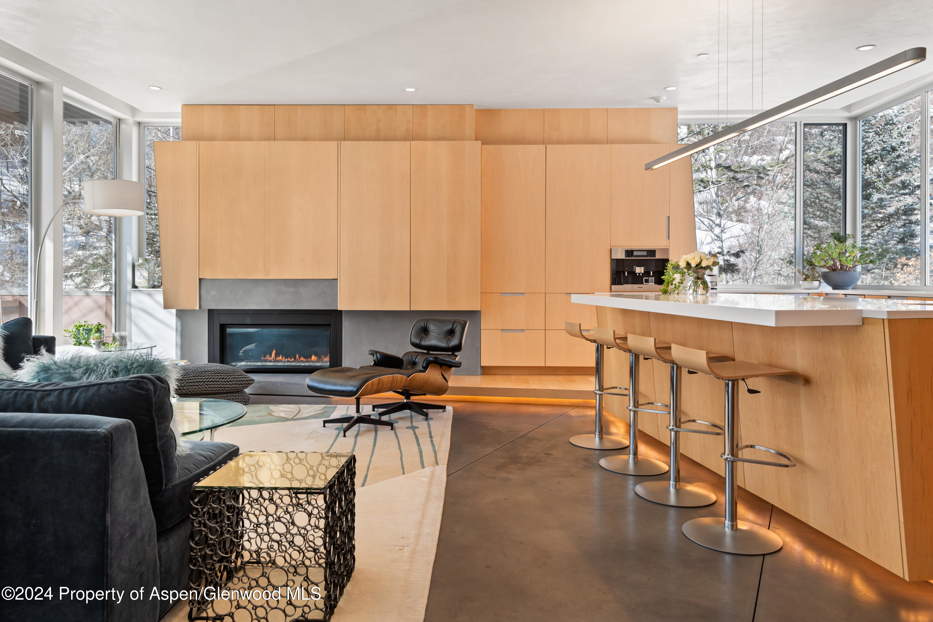 1015 Cemetery Lane Aspen CO 81611