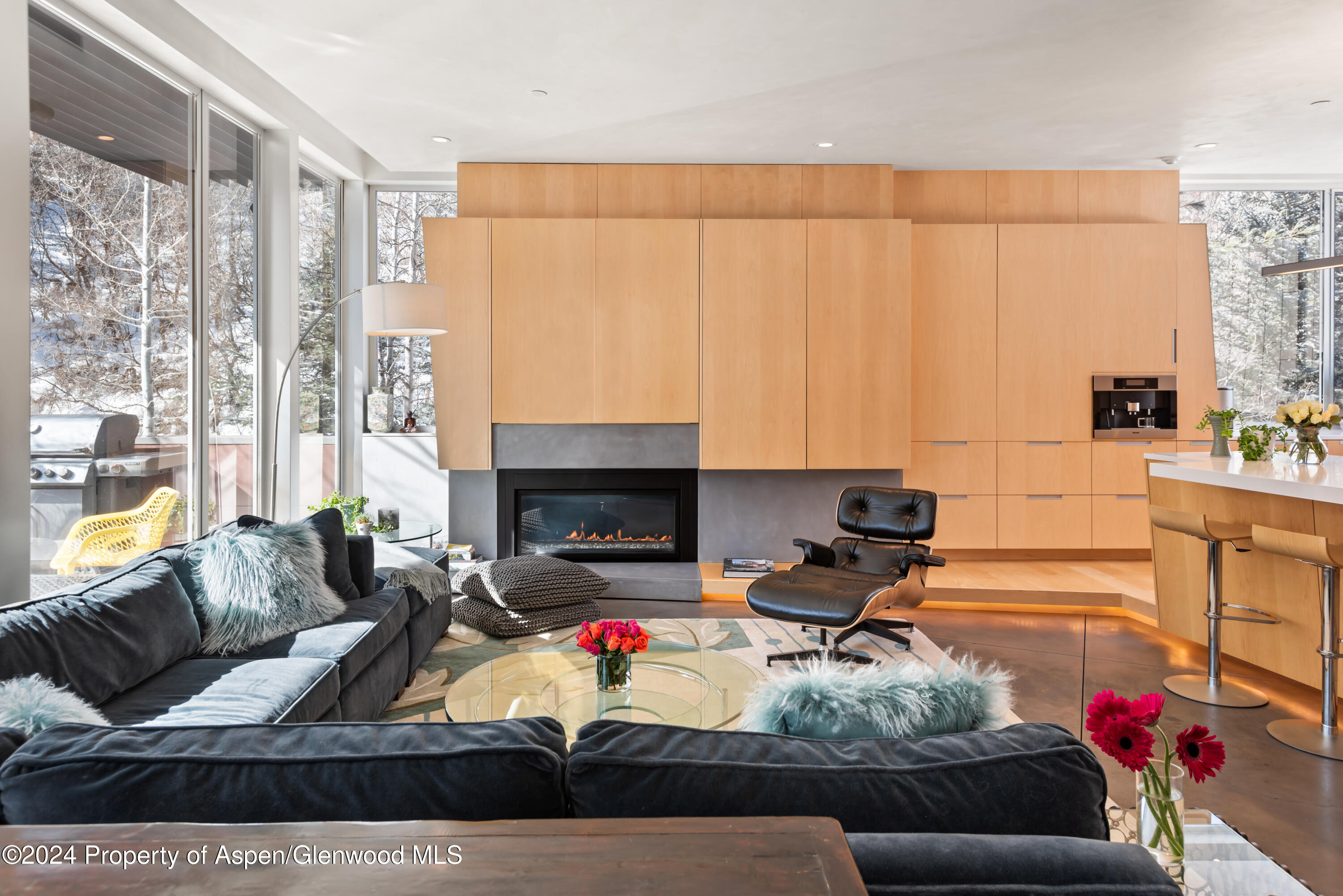 1015 Cemetery Lane Aspen CO 81611