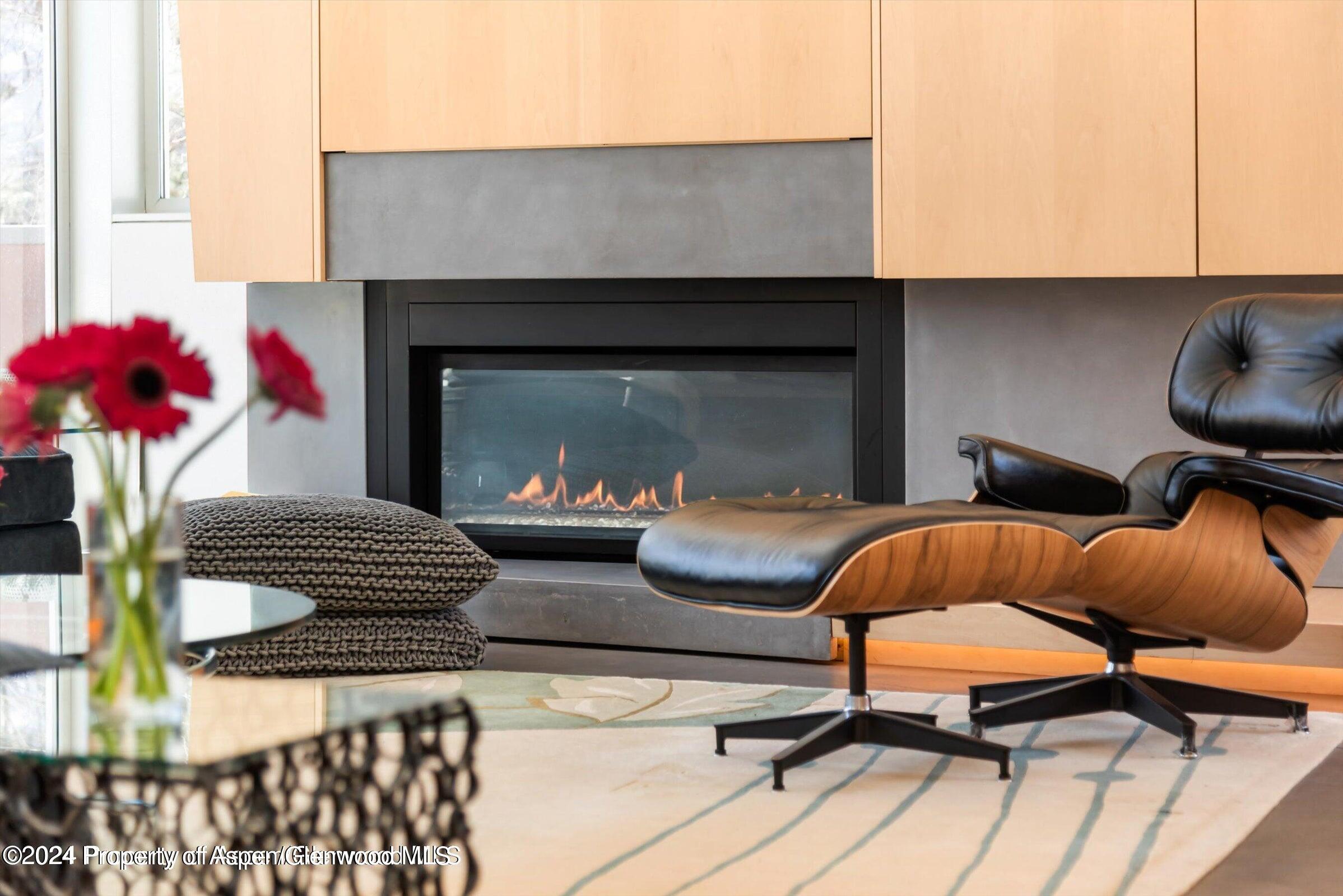 1015 Cemetery Lane Aspen CO 81611