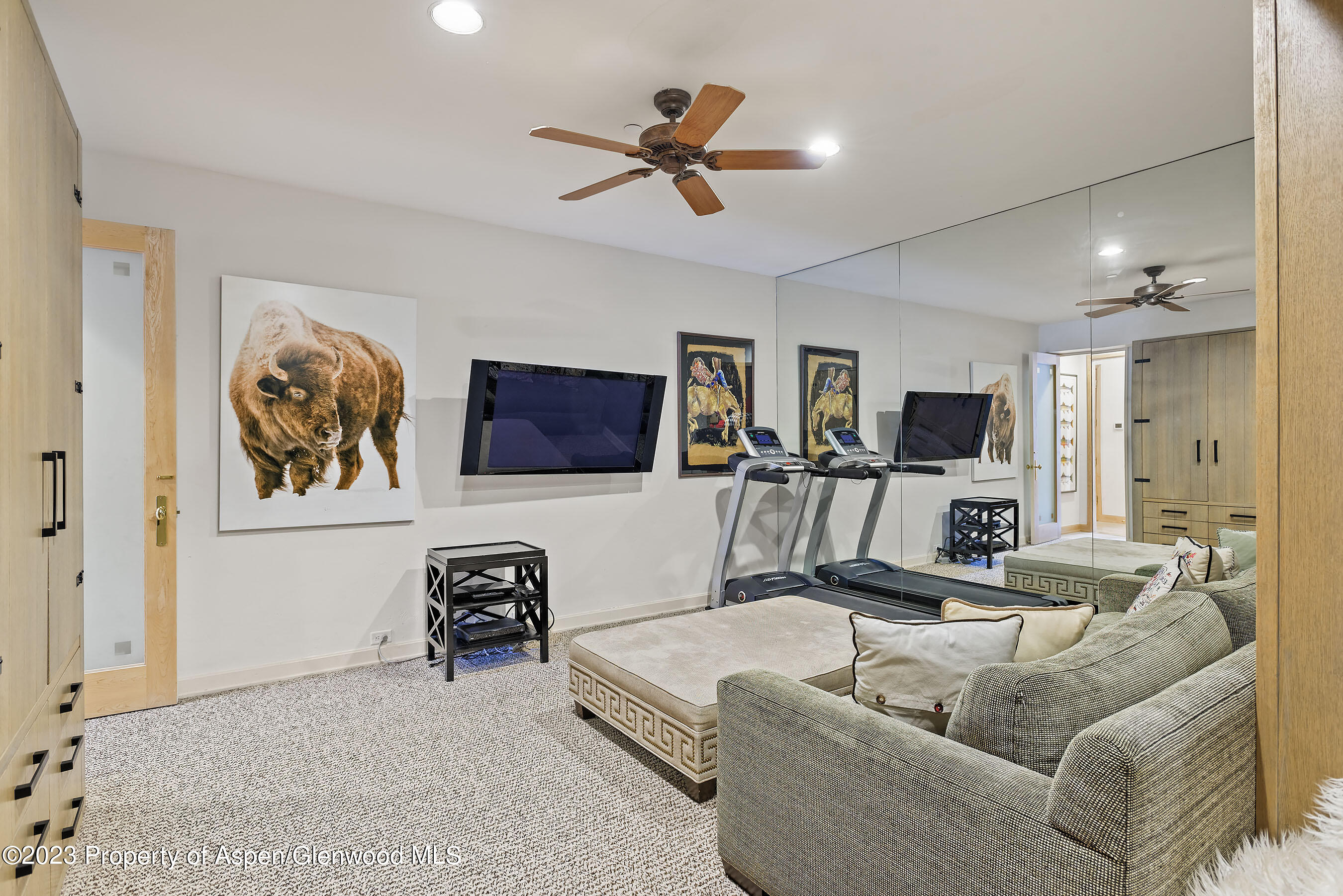 58 Pitkin Way Aspen CO 81611