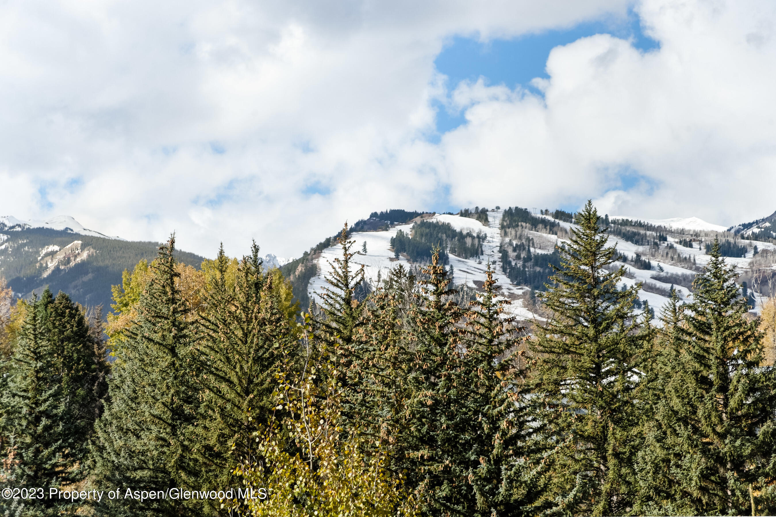 58 Pitkin Way Aspen CO 81611