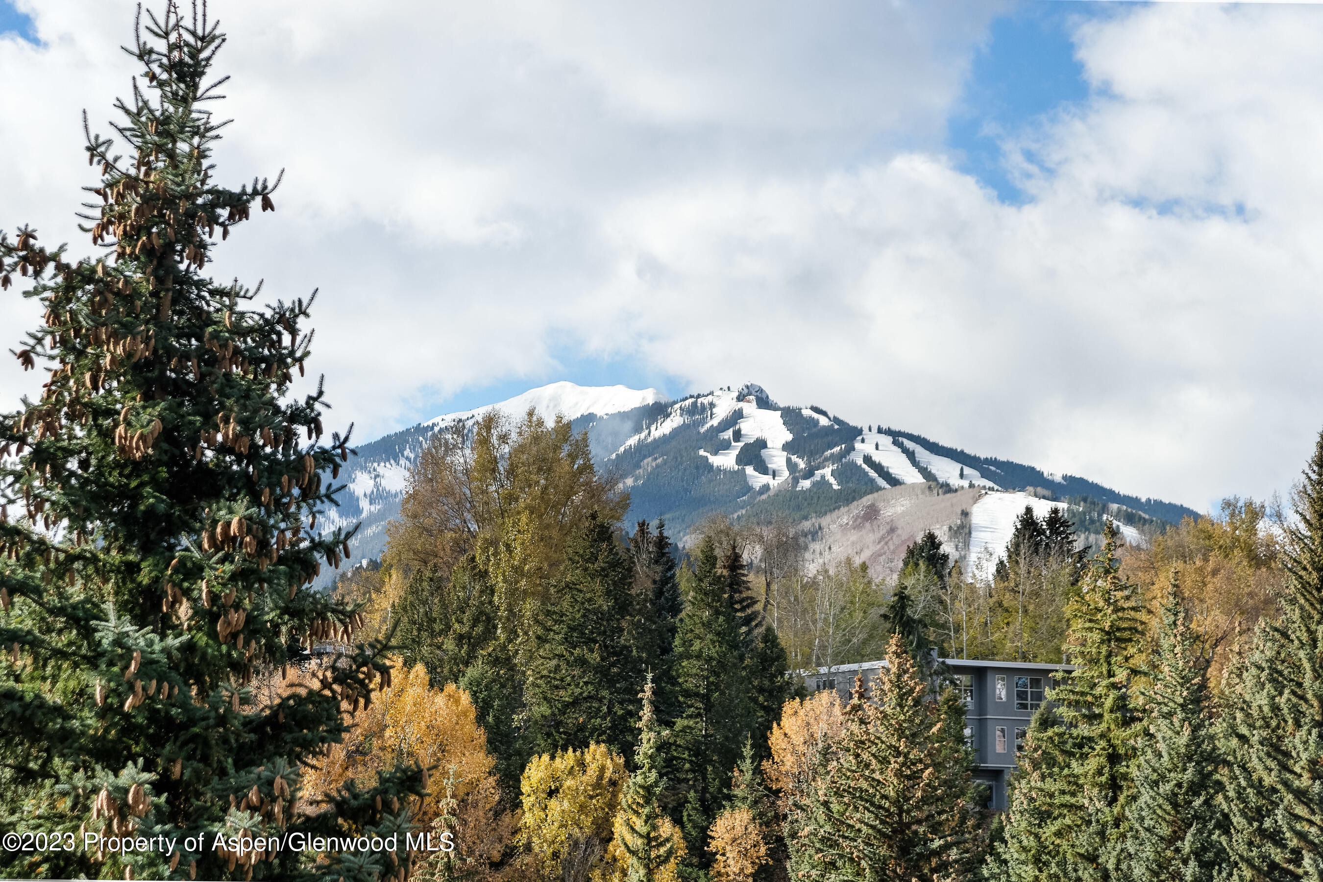 58 Pitkin Way Aspen CO 81611