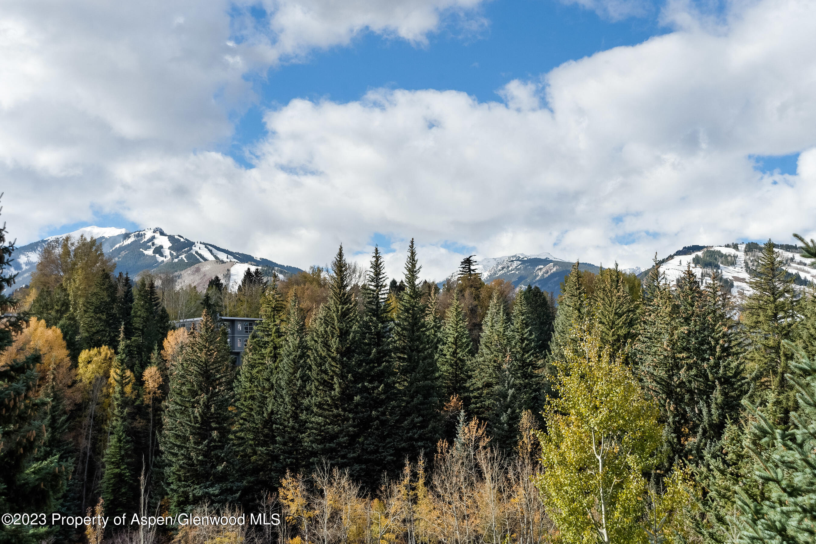 58 Pitkin Way Aspen CO 81611