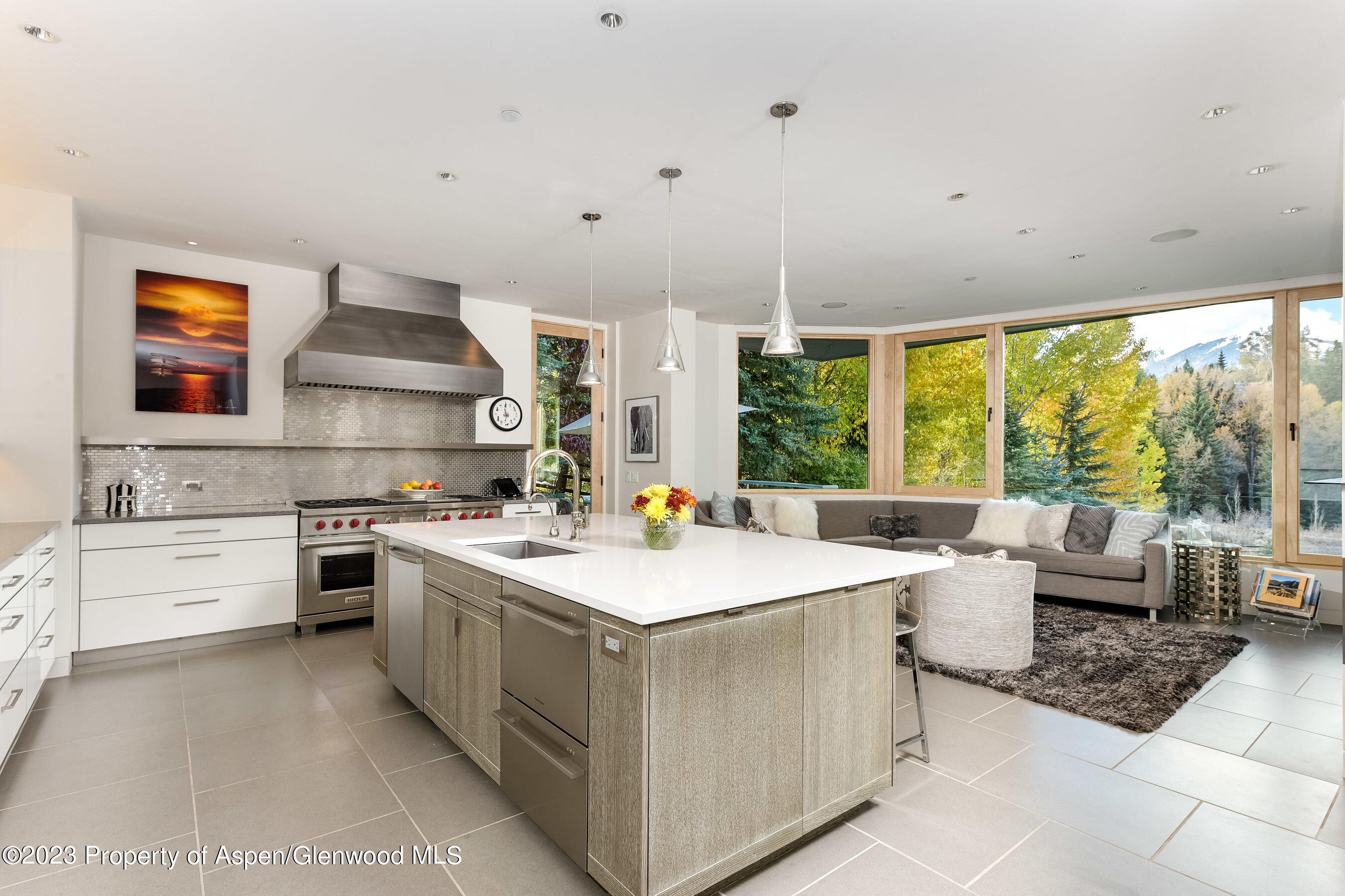 58 Pitkin Way Aspen CO 81611