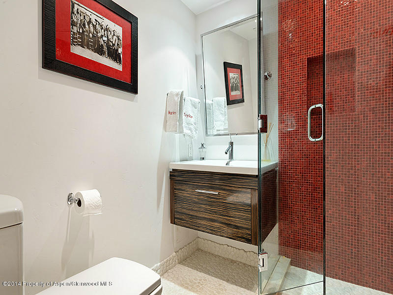 805 E Cooper Aspen CO 81611