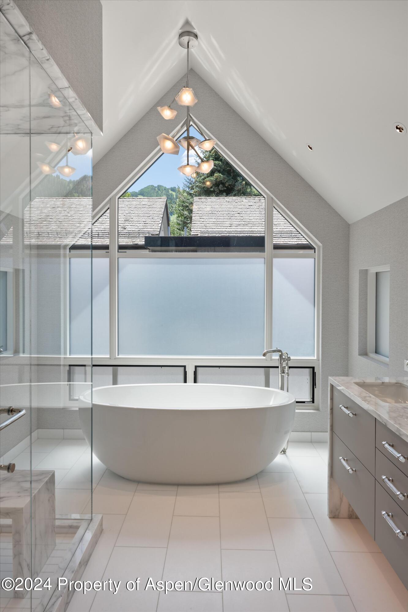 105 E Hallam Street Aspen CO 81611