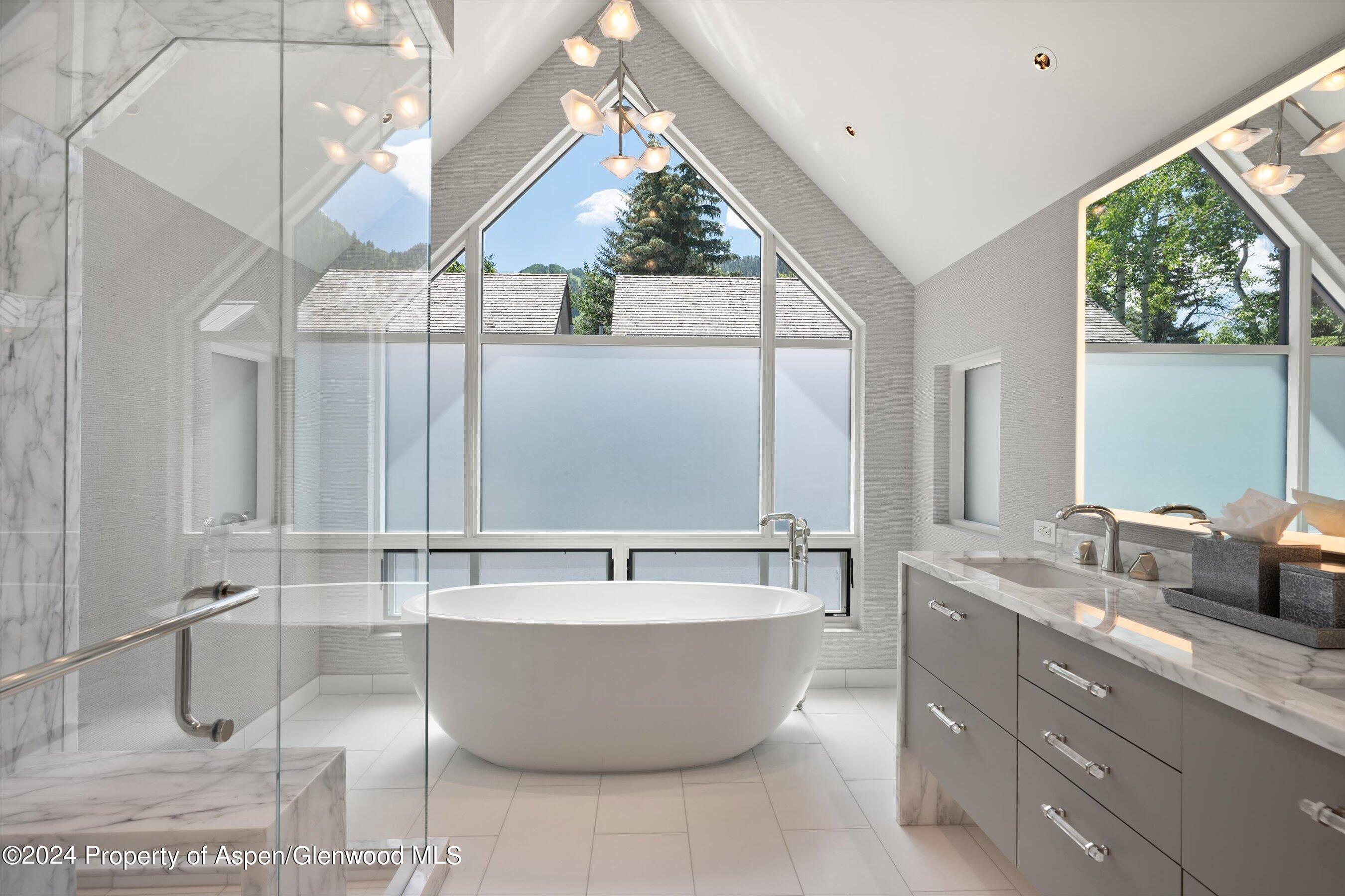 105 E Hallam Street Aspen CO 81611