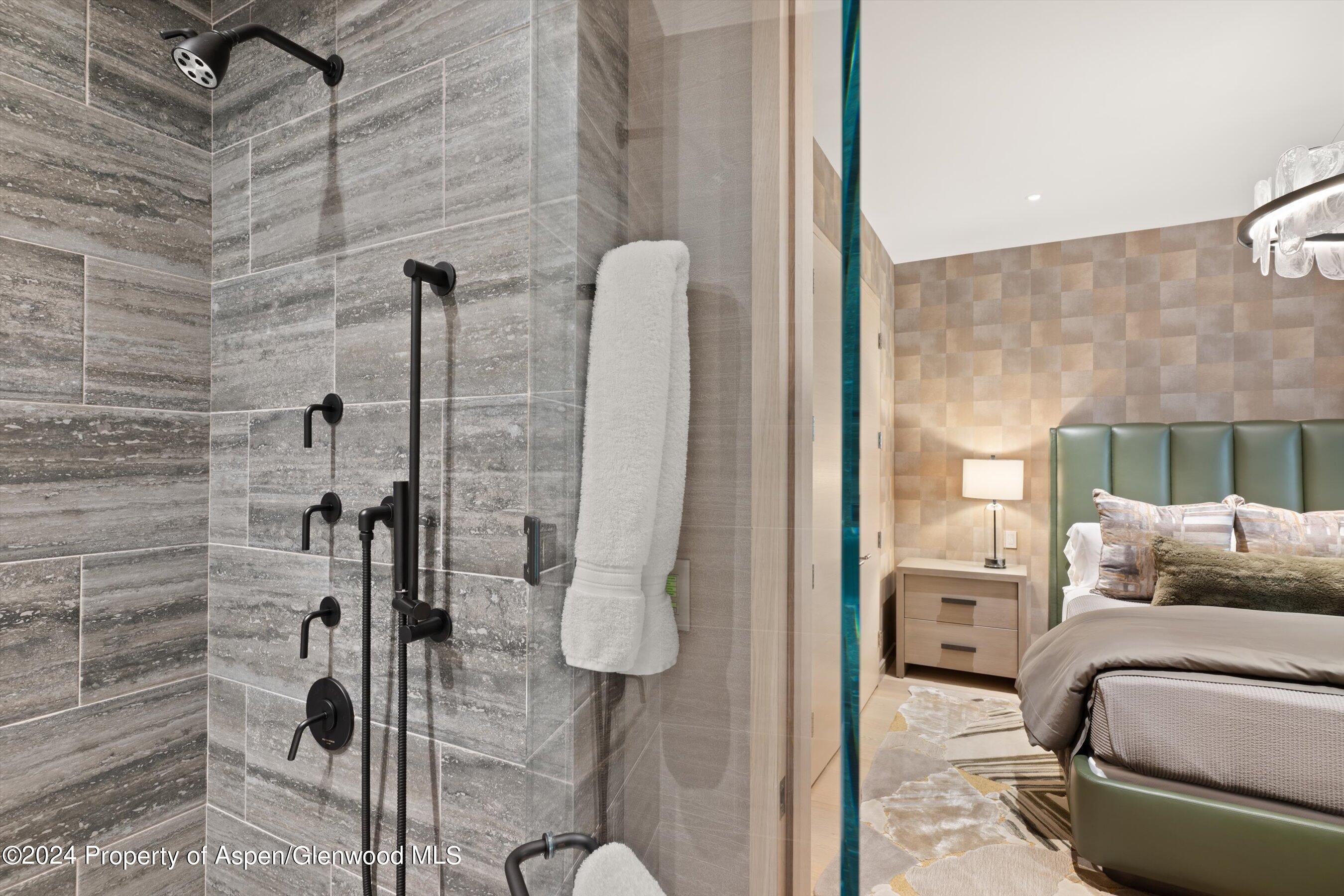 105 E Hallam Street Aspen CO 81611