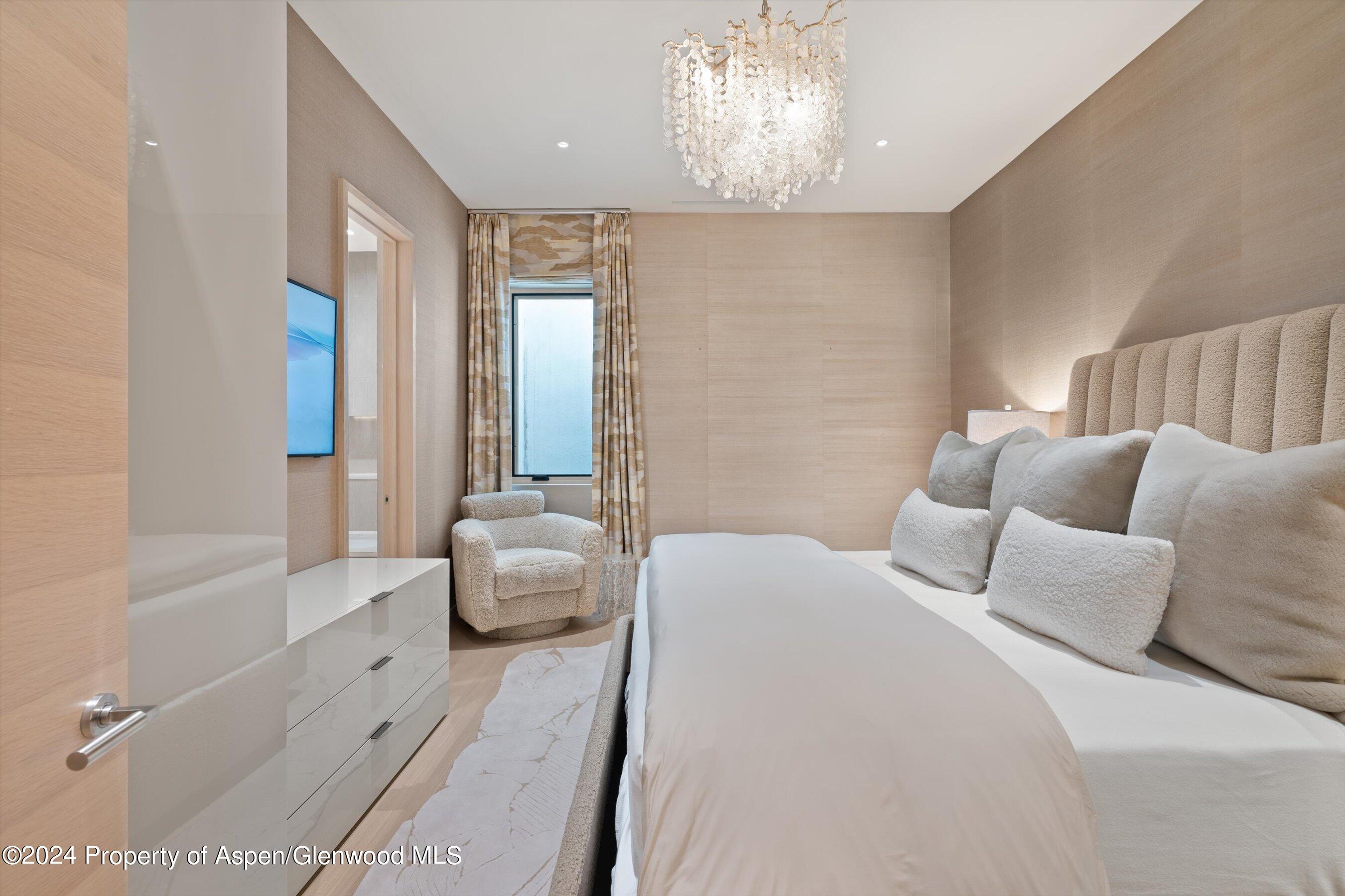 105 E Hallam Street Aspen CO 81611