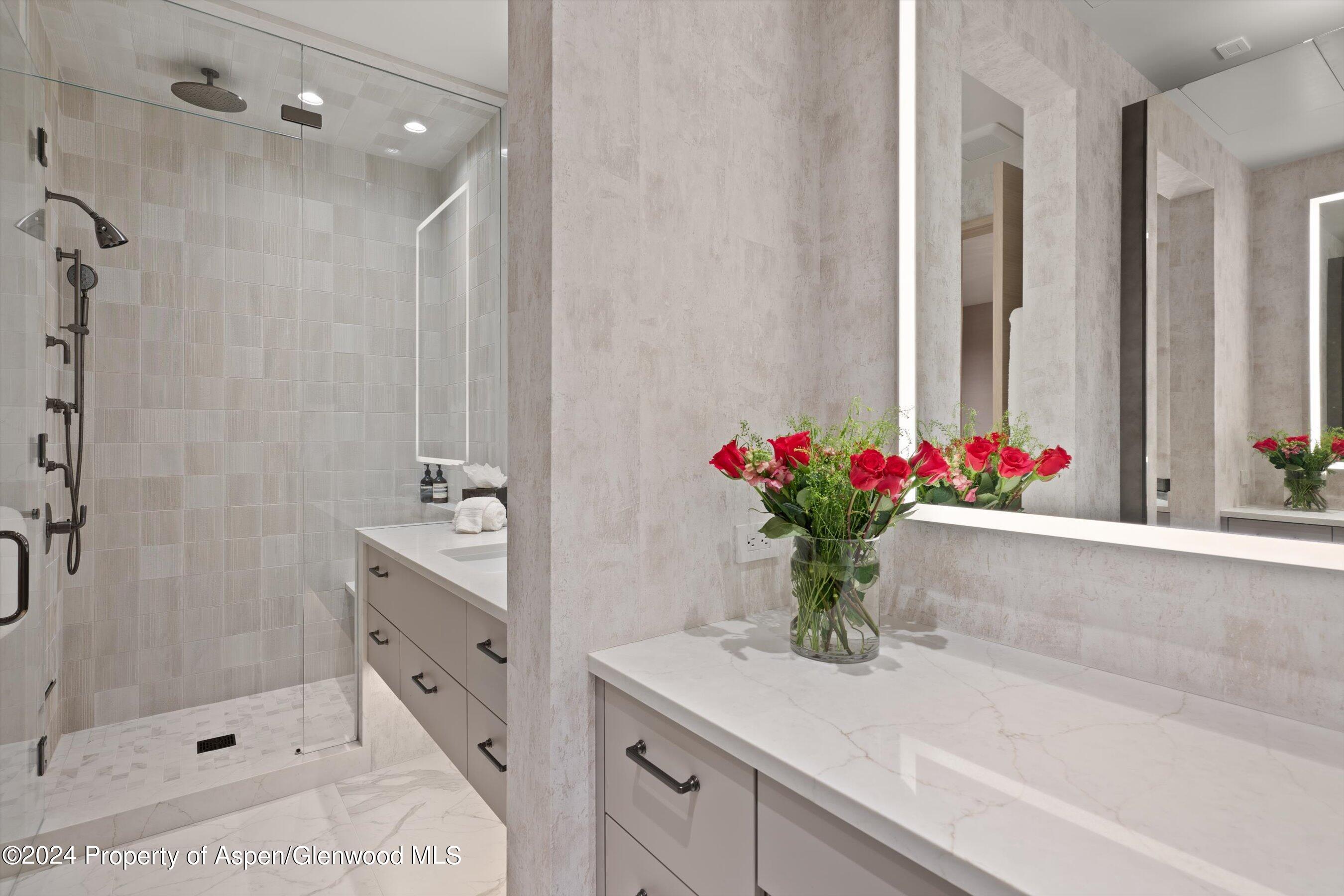 105 E Hallam Street Aspen CO 81611