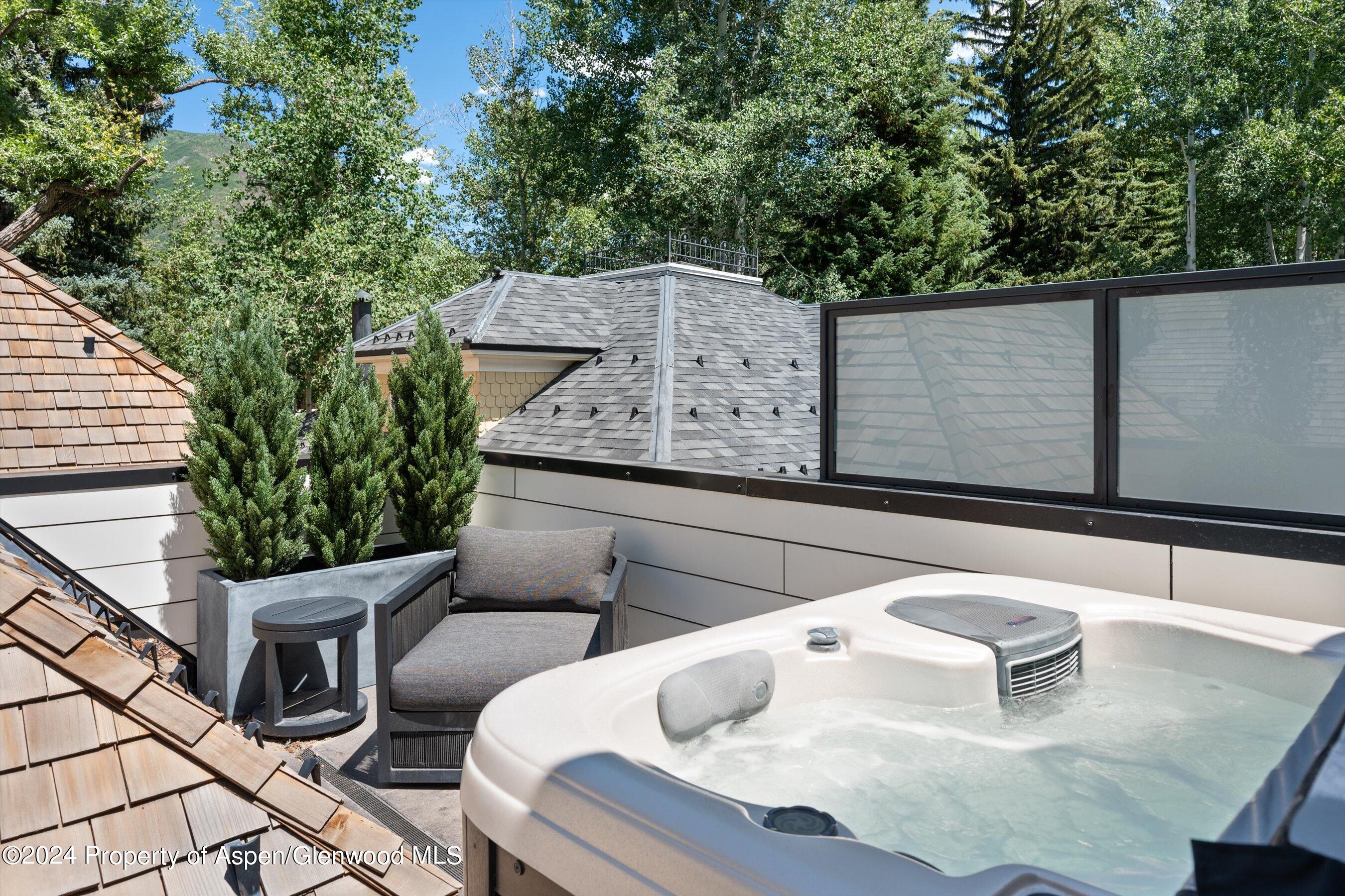 105 E Hallam Street Aspen CO 81611