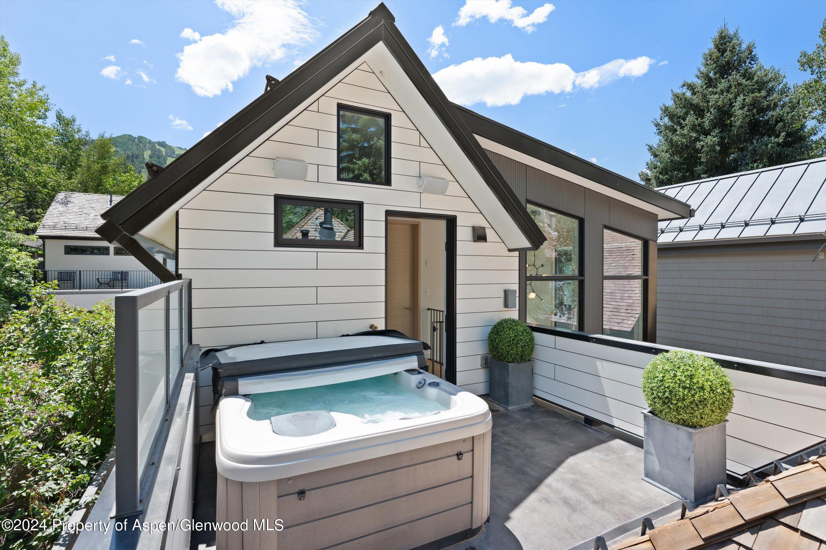 105 E Hallam Street Aspen CO 81611