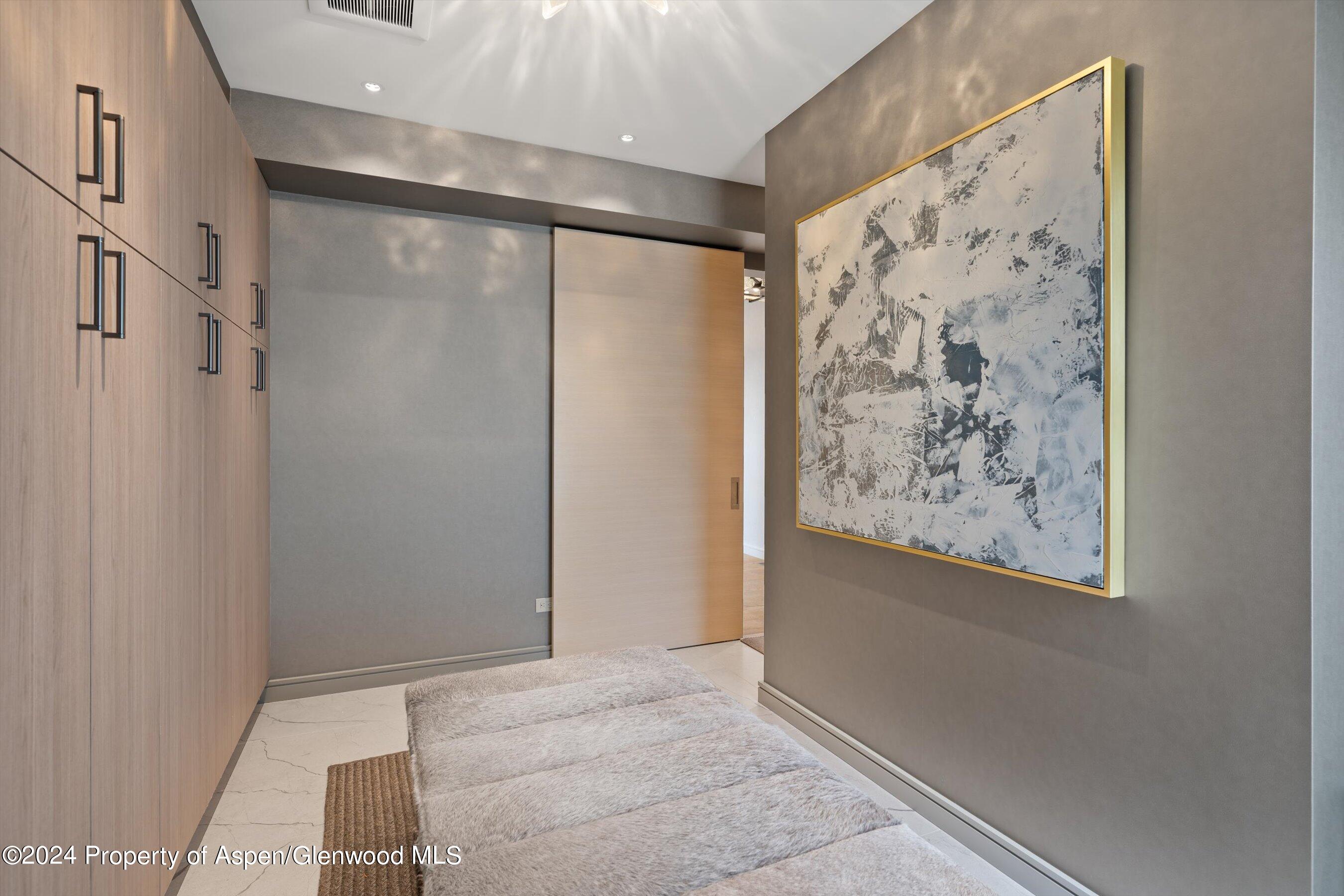 105 E Hallam Street Aspen CO 81611