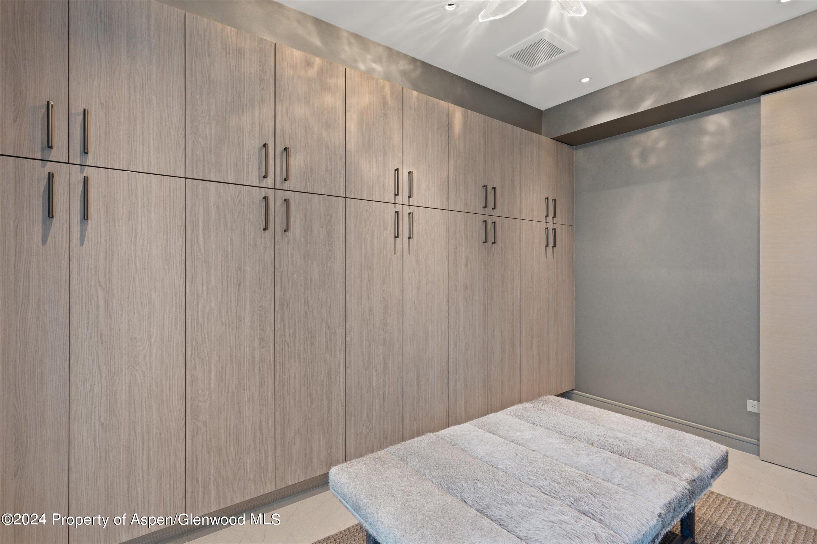 105 E Hallam Street Aspen CO 81611