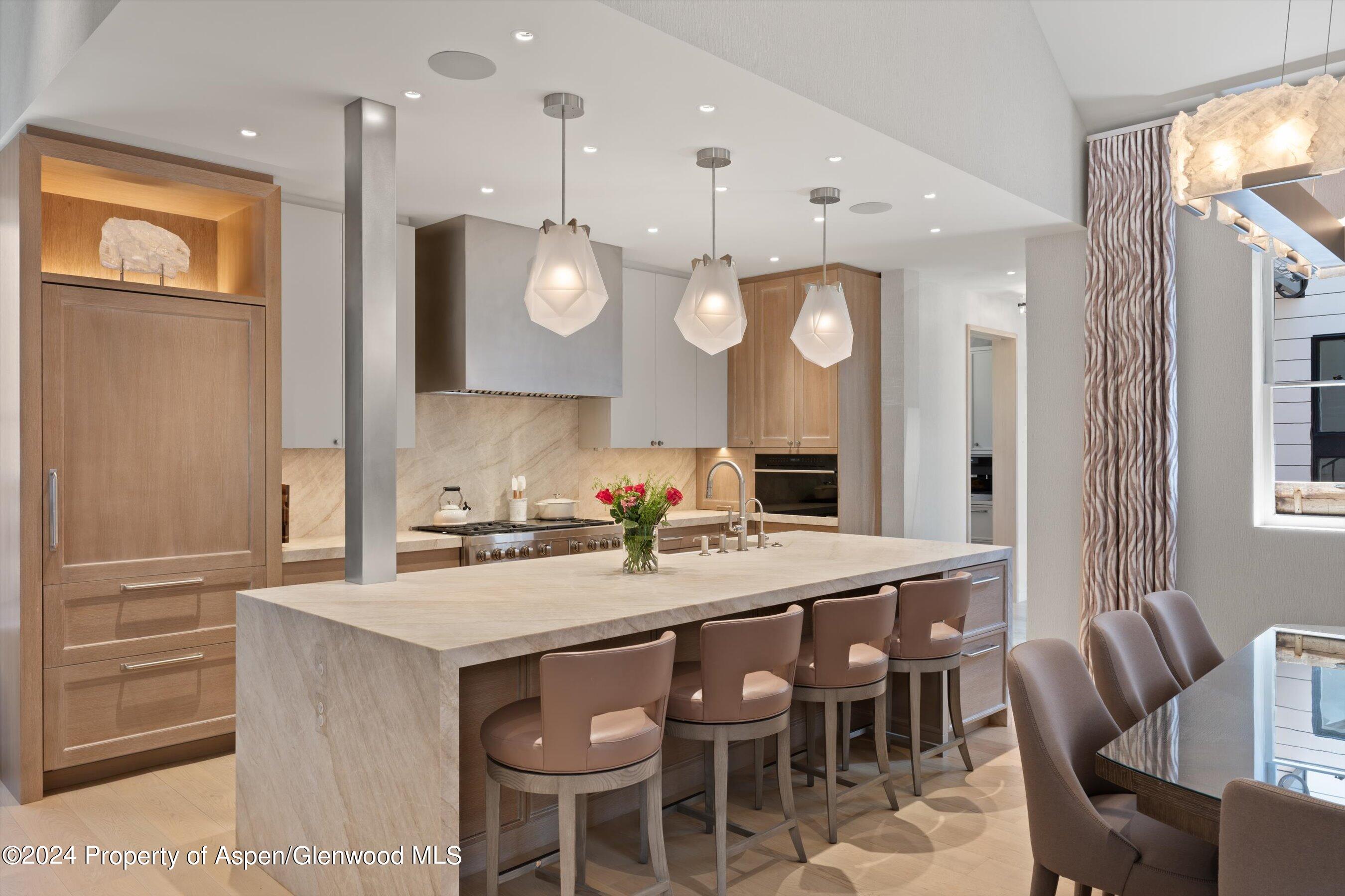 105 E Hallam Street Aspen CO 81611