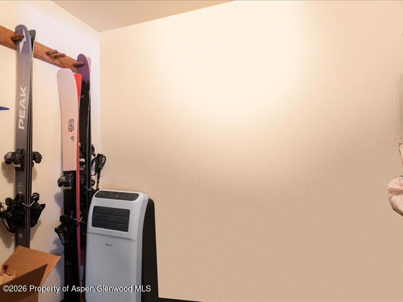 700 S Monarch Street Aspen CO 81611