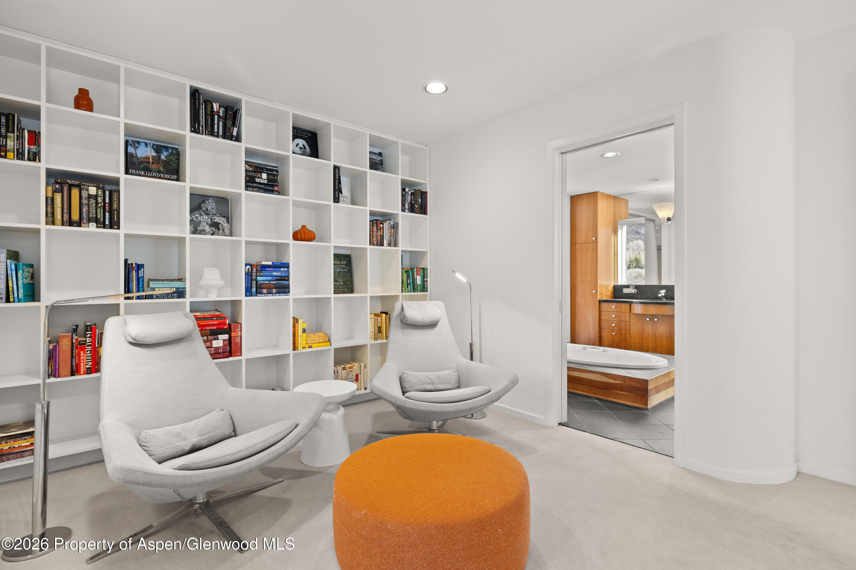 55 Overlook Drive Aspen CO 81611