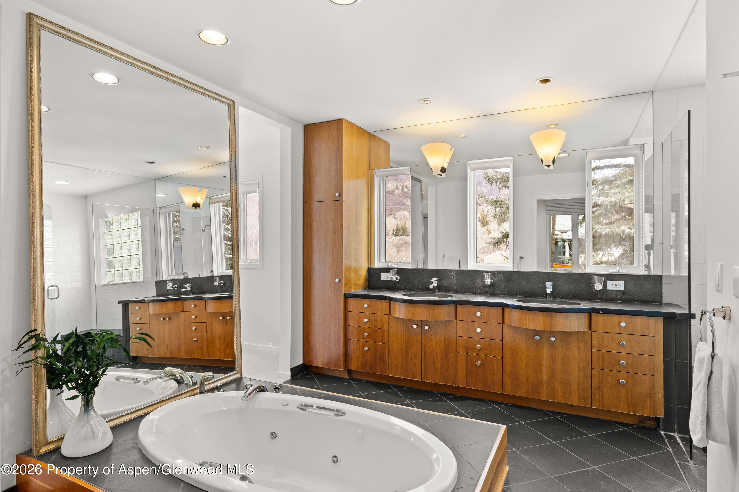 55 Overlook Drive Aspen CO 81611