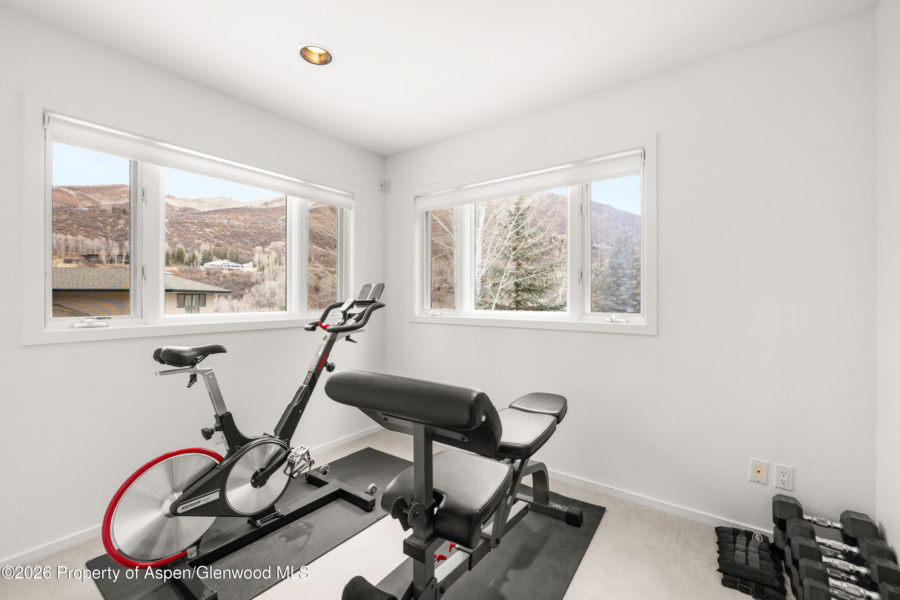 55 Overlook Drive Aspen CO 81611