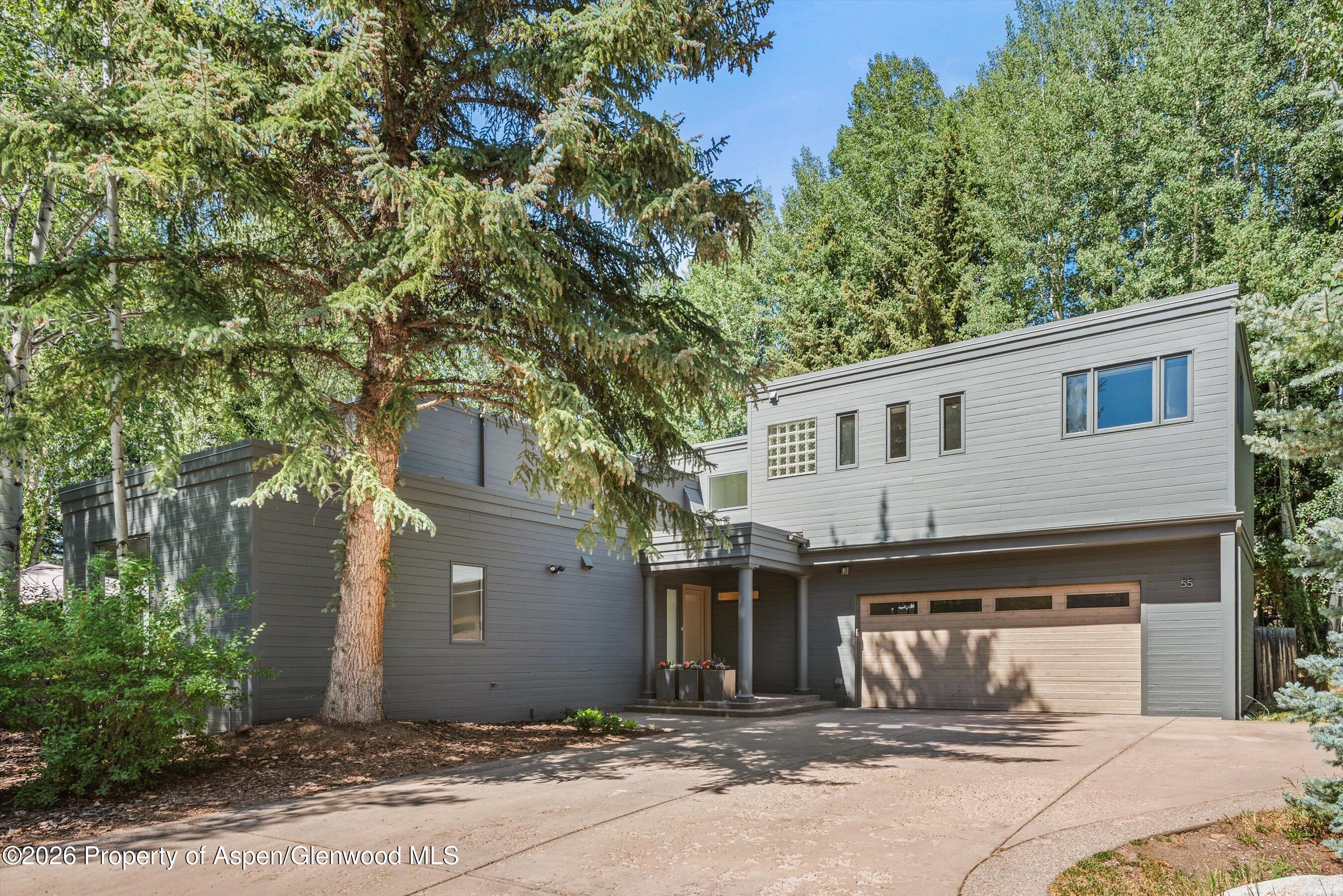 55 Overlook Drive Aspen CO 81611