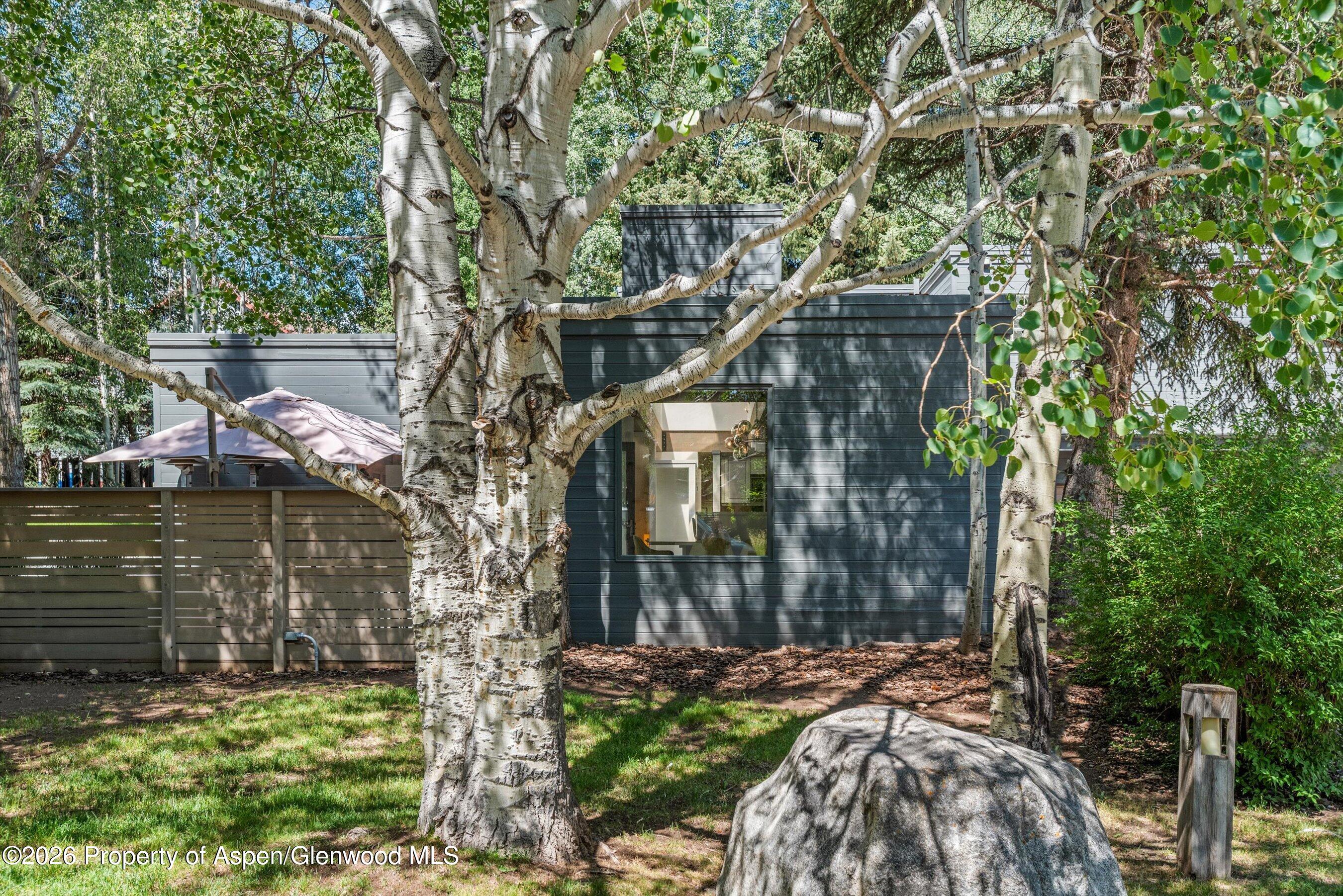 55 Overlook Drive Aspen CO 81611