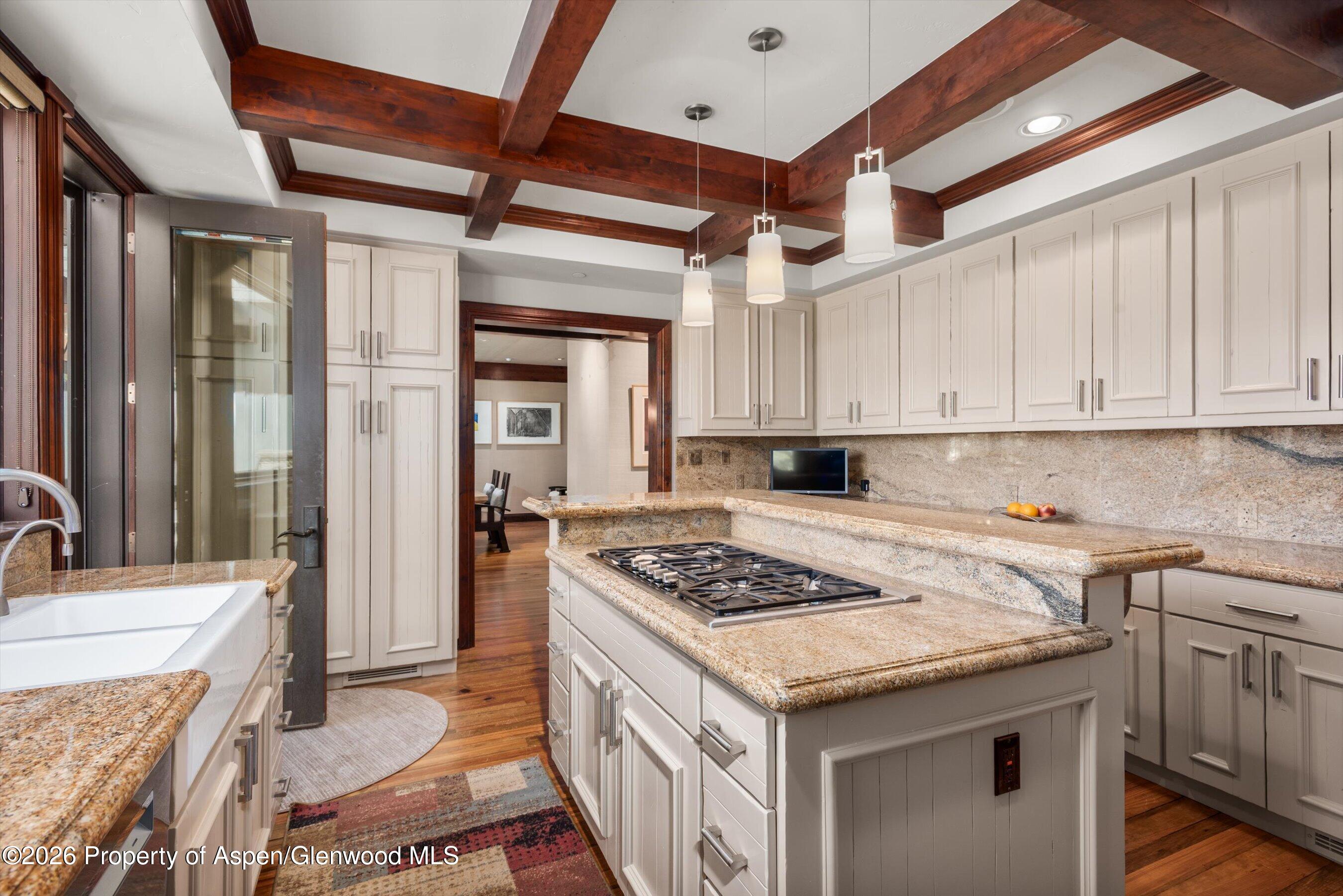74 Pfister Drive Aspen CO 81611